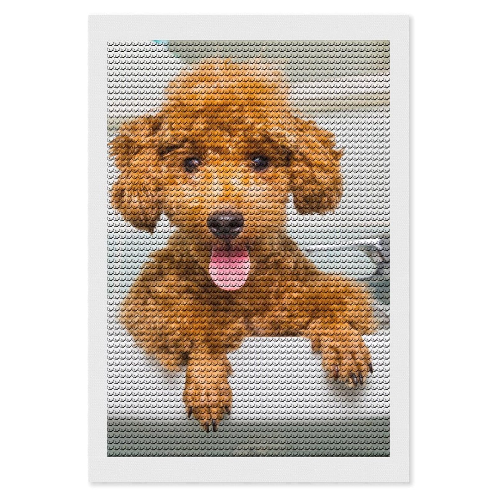 Amazon | トイ・プードル 子犬 (1) ダイヤモンドアートダイヤモンド