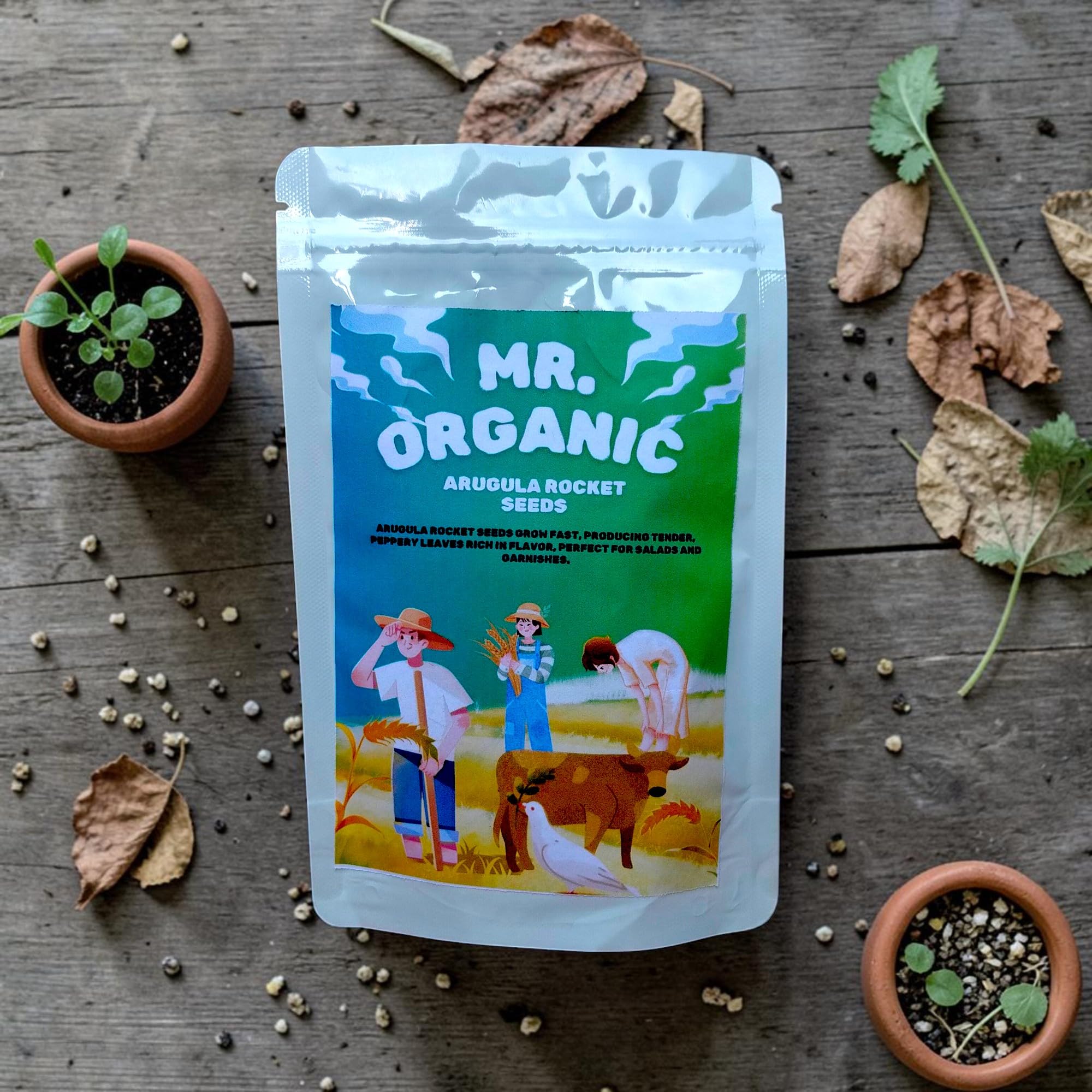 Rocket Arugula Seeds - Grow Your Own! -4 Rocket Arugula Seeds - Grow Your Own! -4
