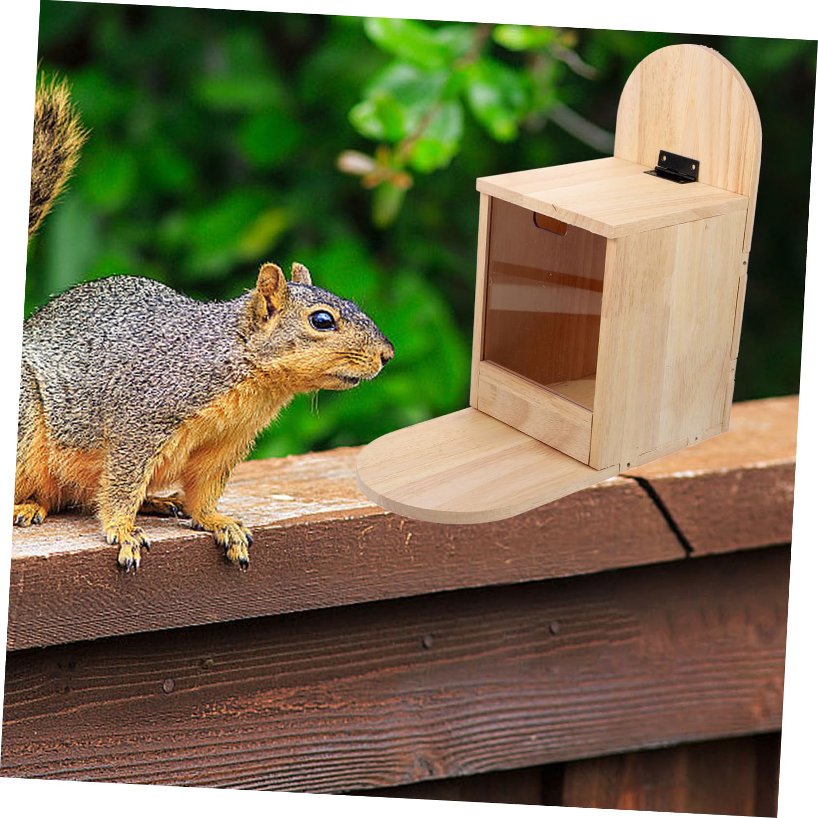 Sosoport Mangiatoia Per Scoiattoli Da Esterno in Legno Mangiatoia Per Uccelli Da Giardino Contenitore Per Cibo Per Scoiattoli Facile Da Pulire e Pratico