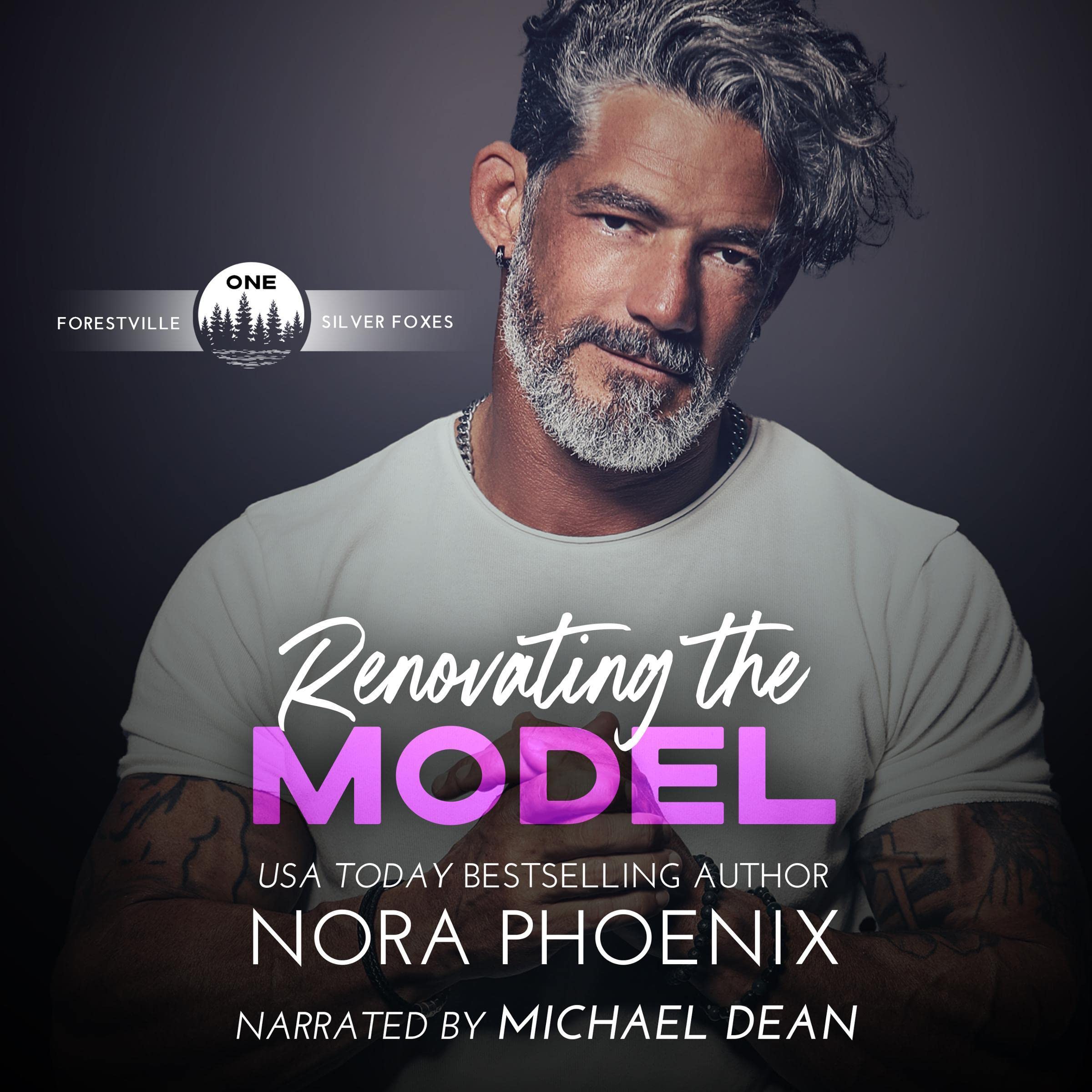 Cover art for Renovating the Model