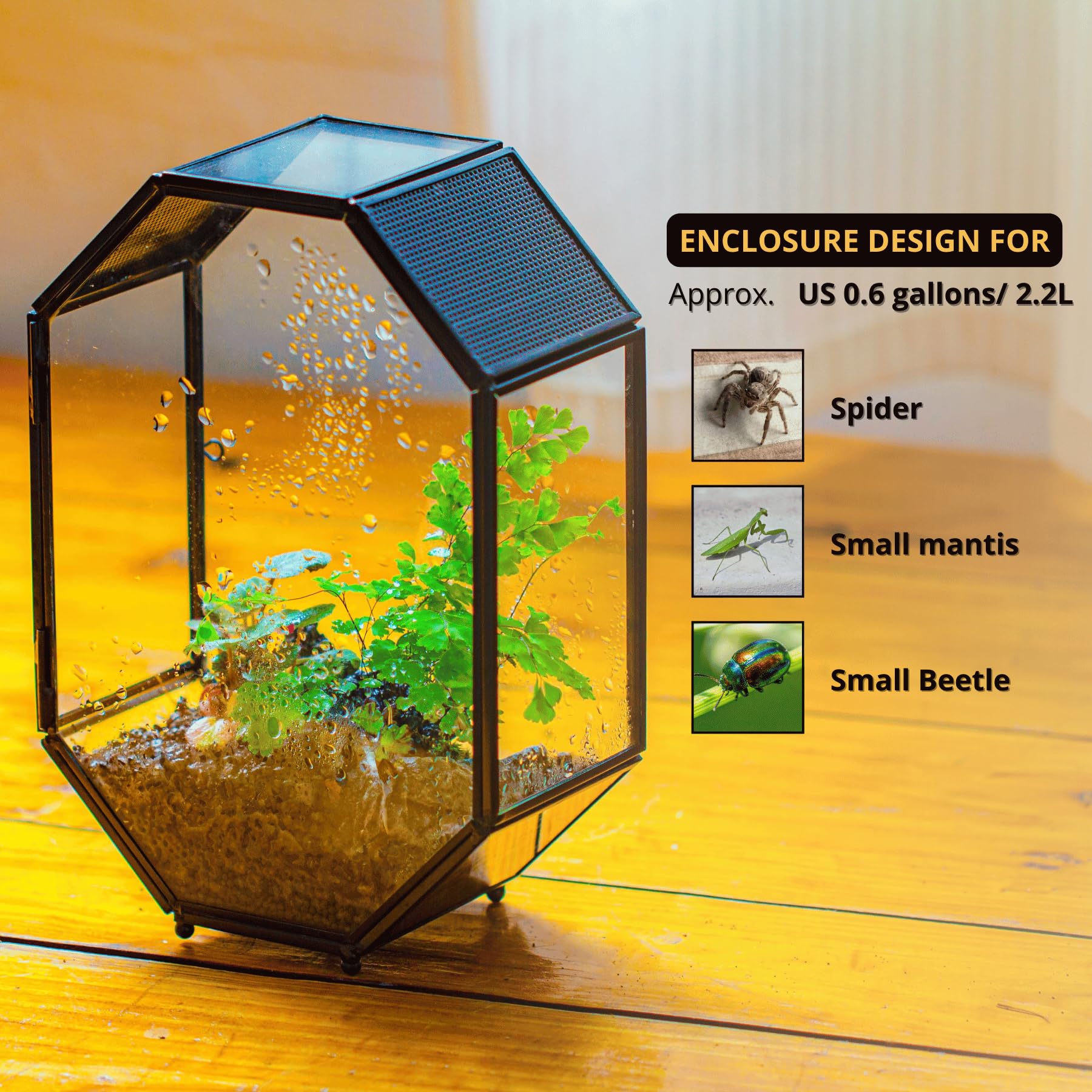NCYP 15,8x8x22,1 cm Octogonale Terrarium en Verre avec Maille et Porte pour Araignées, Insectes, Petites Plantes (Plantes et Accessoires Non Inclus)
