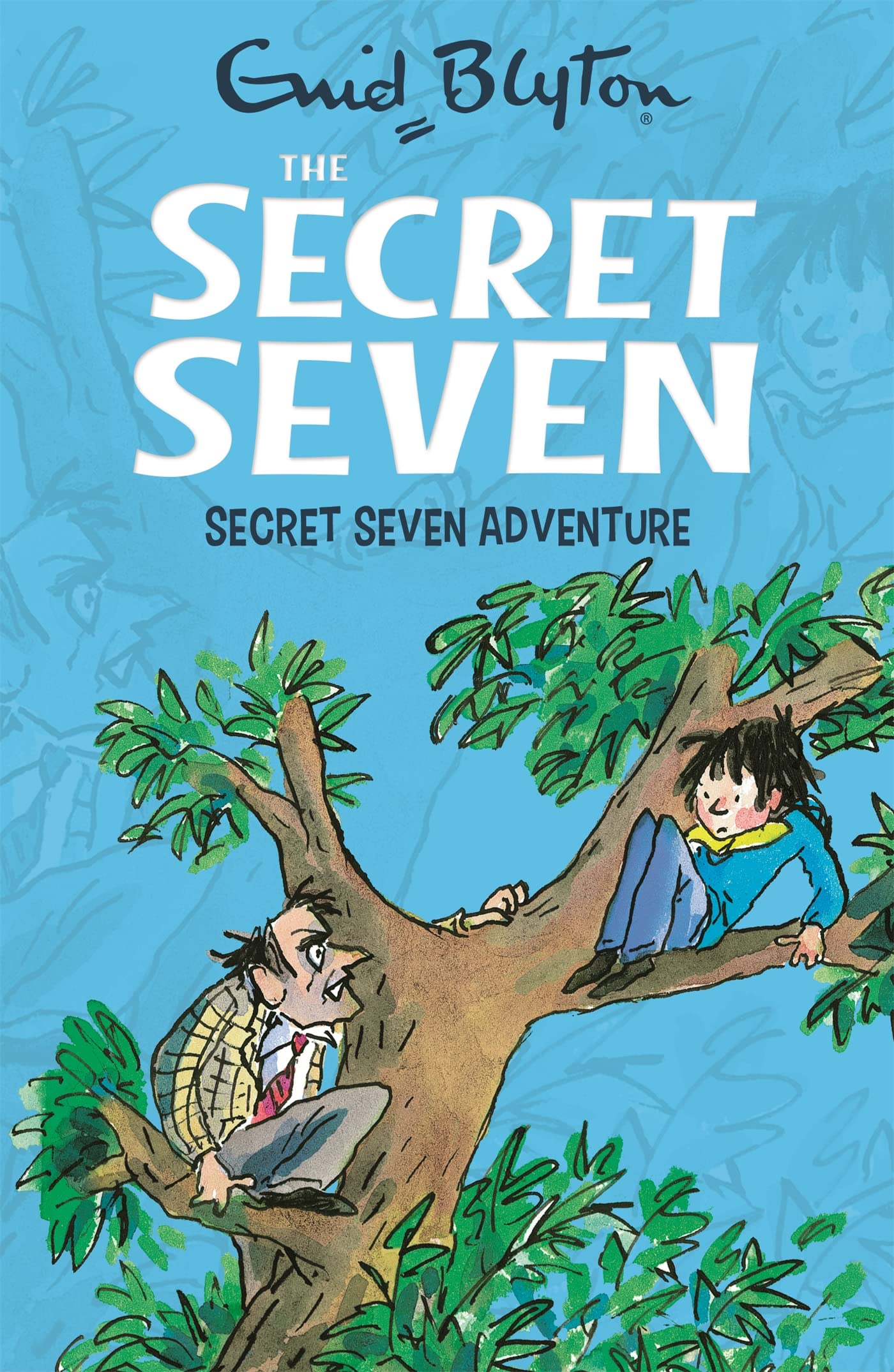 Secret Seven Adventure: Book 2