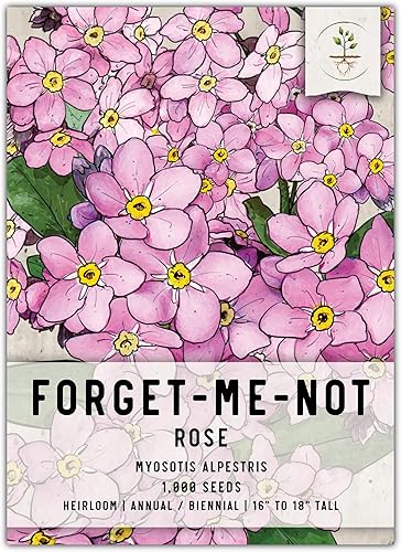 Seed Needs, Rose Forget-Me-Not Seeds - 1000 semillas tradicionales para plantar Myosotis alpestris - Flores anuales y bienales, pequeñas flores