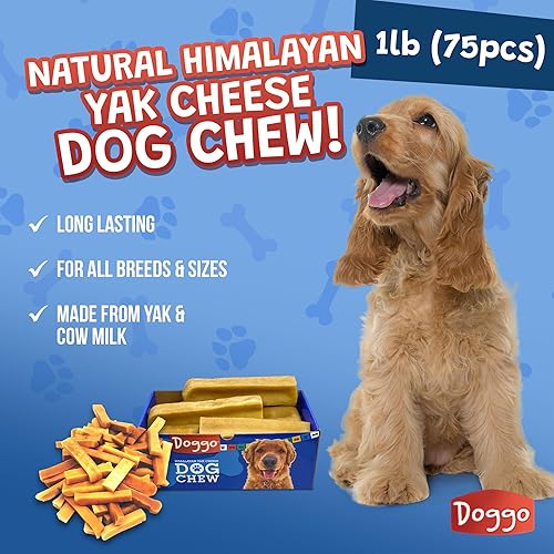 Miniatura 65 de Masticables prémium de queso de yak para perros del Himalaya - Masticables naturales de yak para perros grandes y pequeños - Masticables de leche