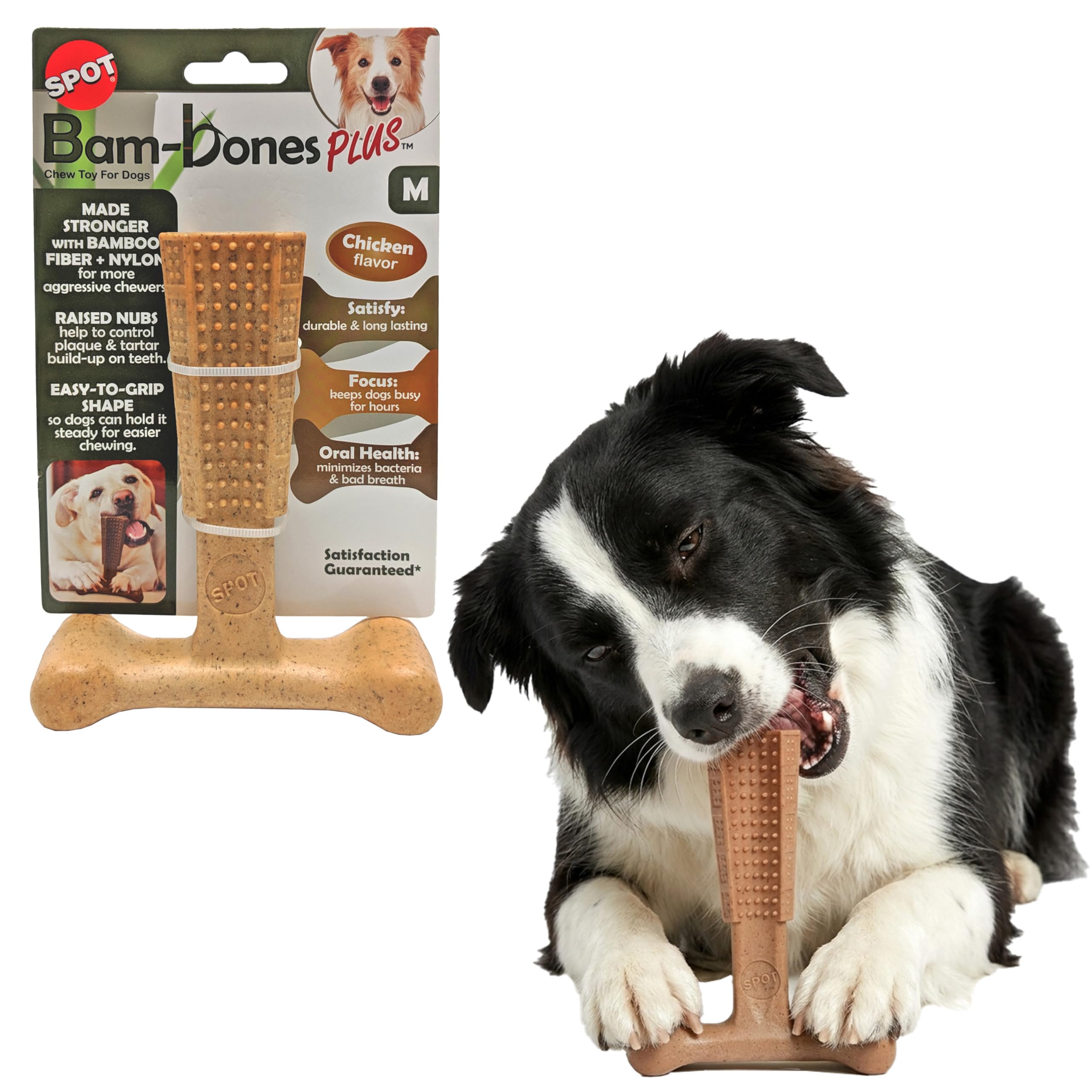 Spot Bambone Plus Chew Toy: A Safe Bet for Lite Chewers, or a Splintering Risk?