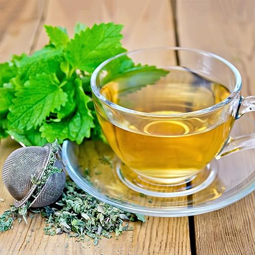 Miniatura 173 de Back to the Roots - Paquete de semillas 100% orgánicas de ají poblano de 0.005 onzas Ají 'Poblano' 140mg,Frijol 'cera dorada' 0.30 oz,Frijol