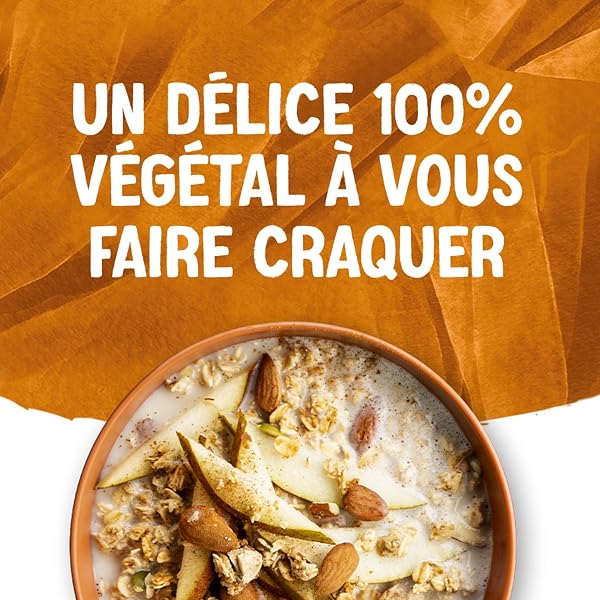 Alpro - Boisson Végétale - Lait d'Amande Grillée - 1L - Lot de 4x1L - 5