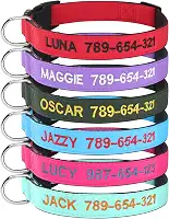 Kuley Coleira de Cachorro Personalizada, Bordada com Nome e Número de Telefone para Cães Extra-pequenos Pequenos Médios Grandes