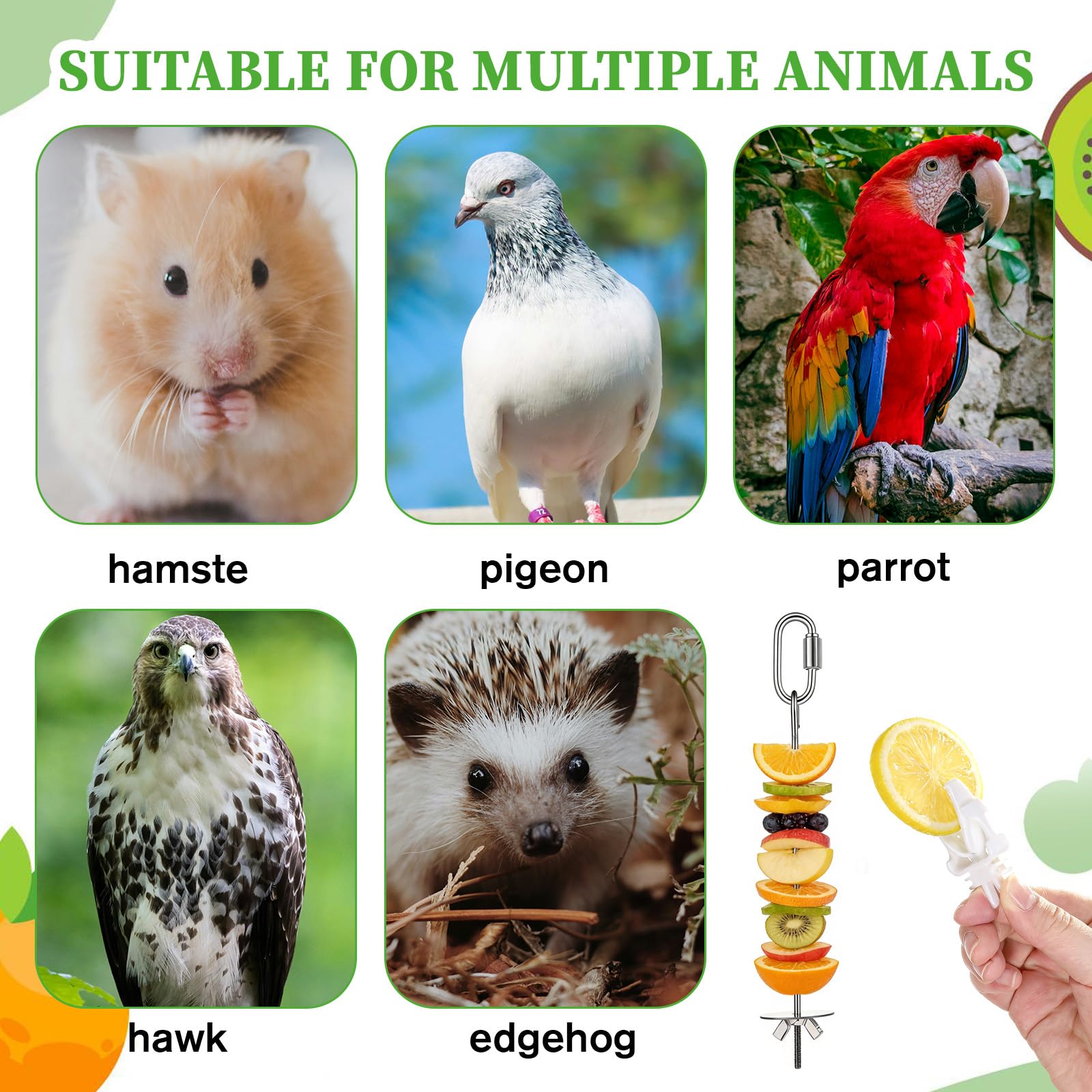 6 PCS Bird Treats Skewer, Parakeet Hanging Food Holder, Bird Cage Food Holders, Stainless Steel Fruit Vegetable Stick Holder for Hanging Birds Foraging Toys for Macaw Parakeet Budgie (3 Sizes) - image 4