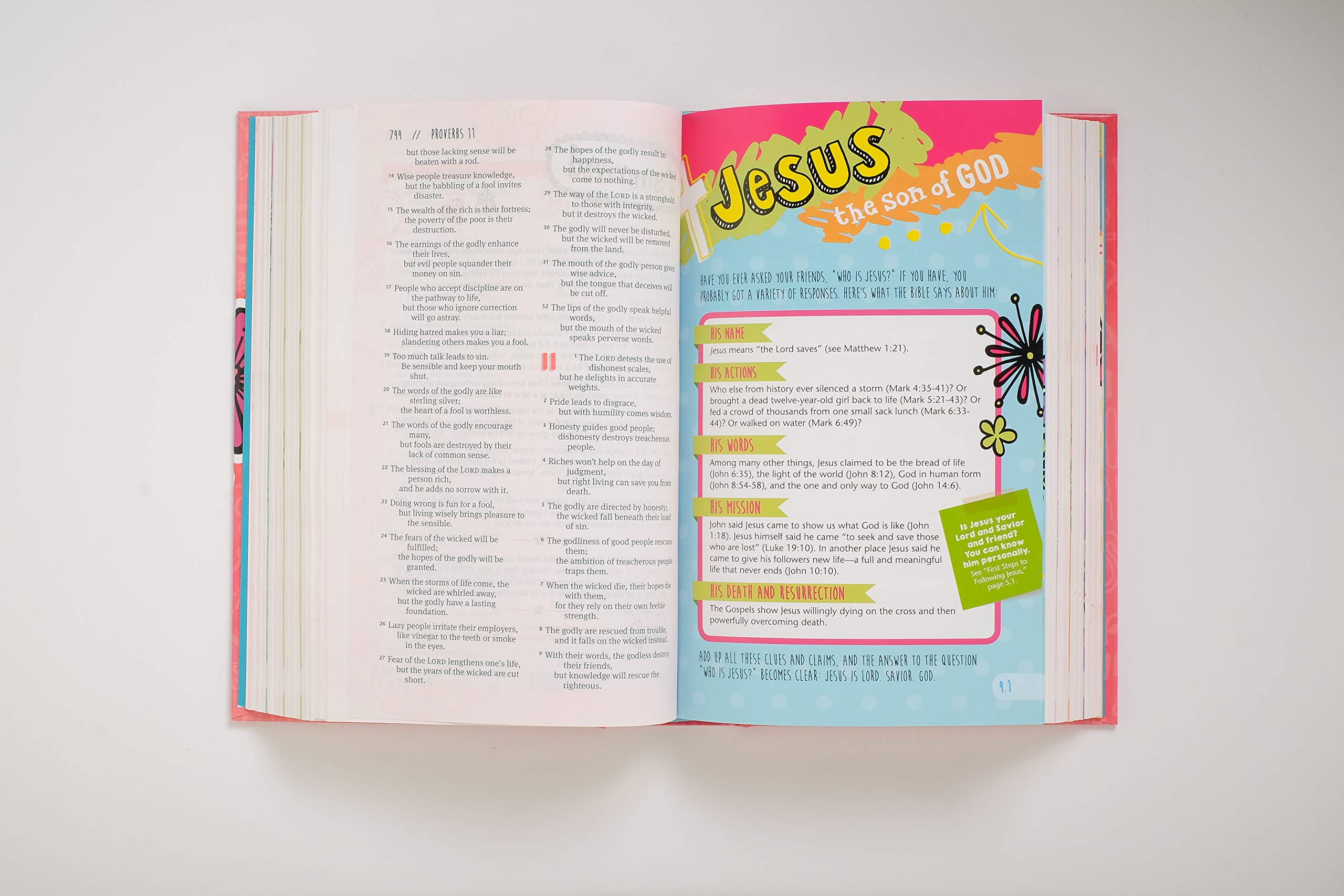 Girls Life Application Study Bible-NLT: New Living Translation