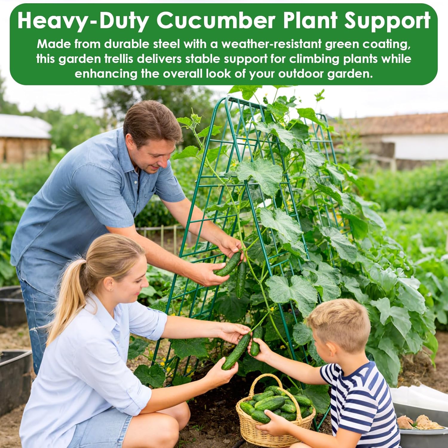 2 Pack 50"x17" Heavy Duty Metal Cucumber Trellis for Raised Bed, A Frame Garden Trellis for Climbing Plants Outdoor, Plant Trellis for Tomato Bean Pea Grape, Adjustable Vegetable Trellis Support