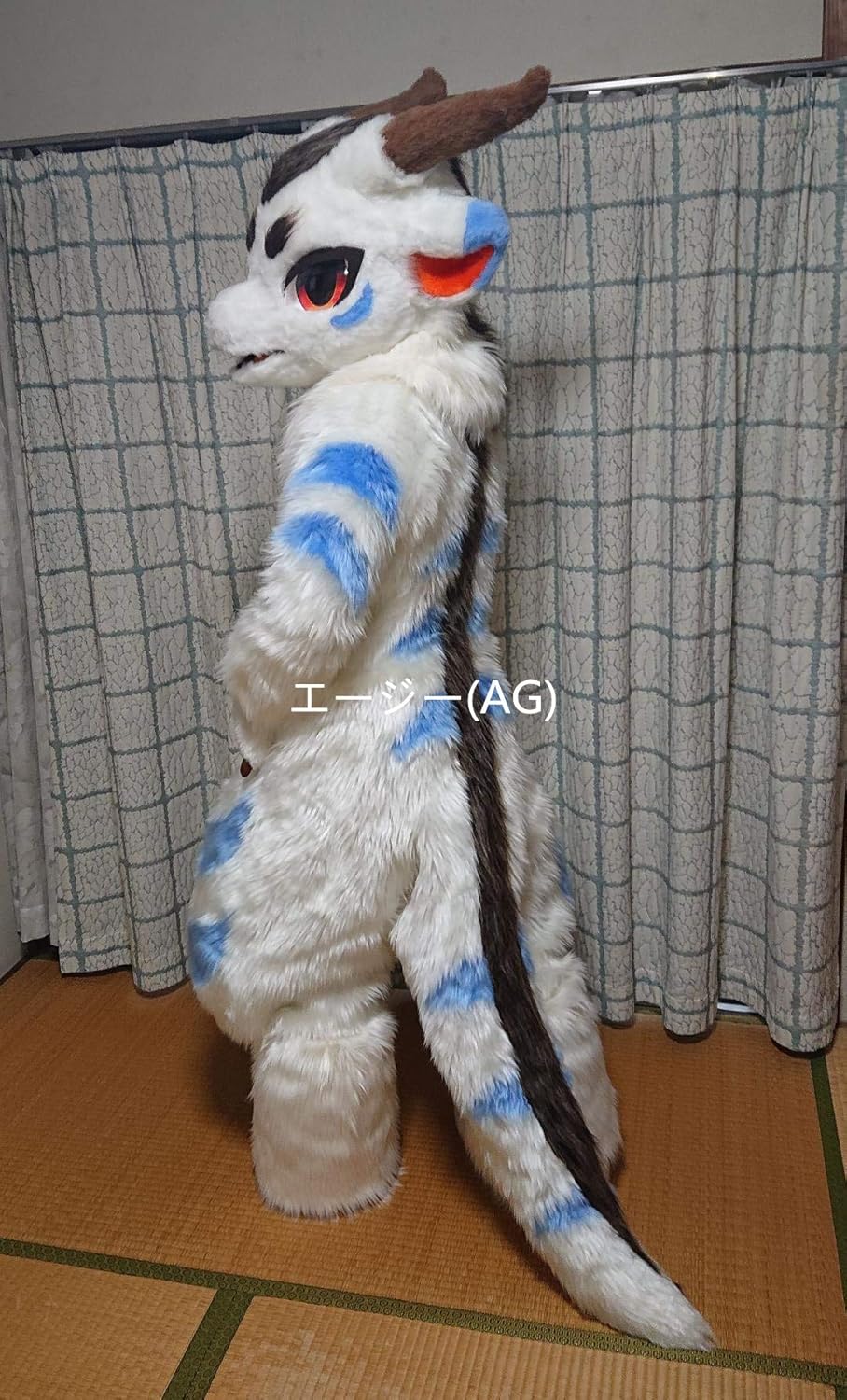 ケモノ着ぐるみ　ドラゴン Amazon.co.jp: [KYUUCOS] ケモノ 着ぐるみ ドラゴン 東洋龍 竜