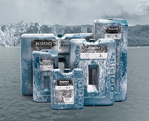 Miniatura 6 de Igloo Mini bloque de almuerzo Performance Ice pequeño