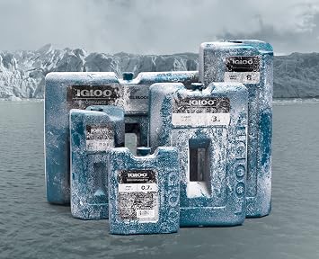 Igloo Performance Ice Block