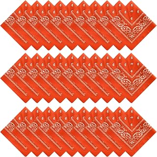 16-30 Pieces Unisex Paisley Bandanas Bulk Multi-Purpose Headband Cowboy Head Wrap Scarf for Women Men Boys Girls