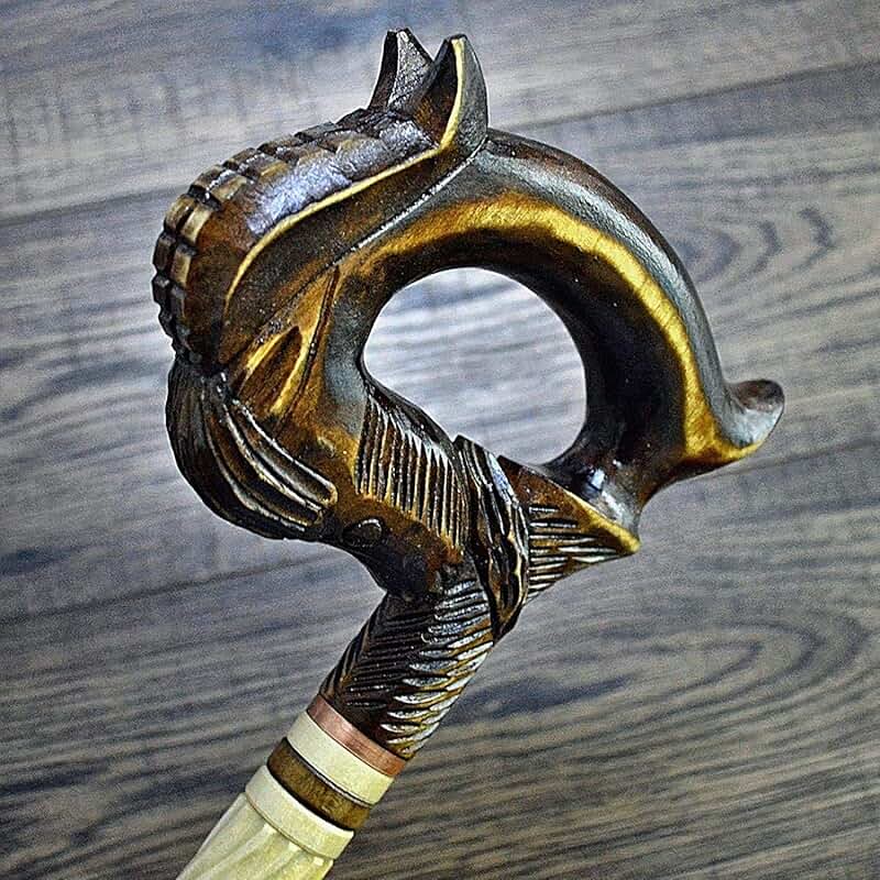 Amazon.com: beach cane