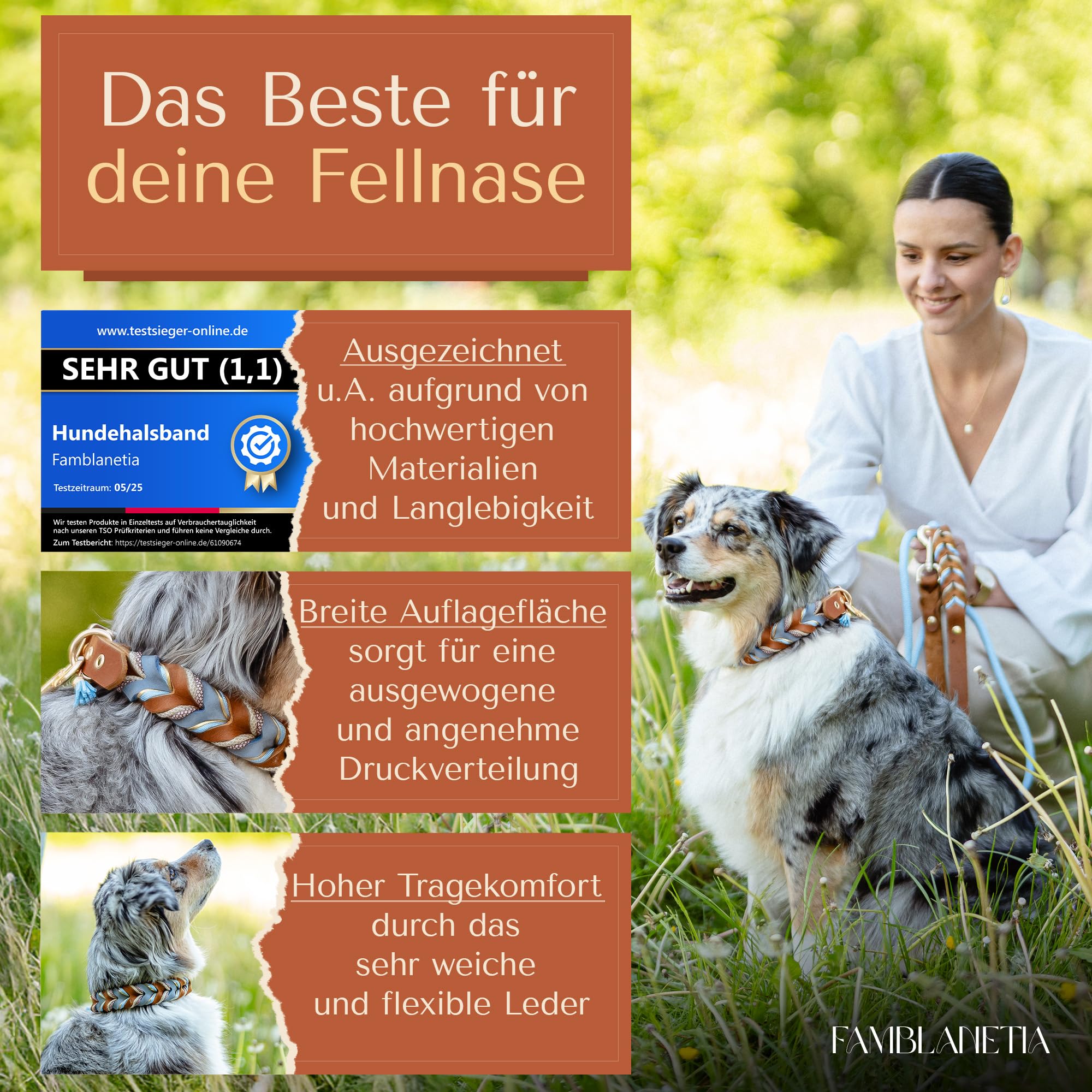 Hundehalsband (S) Leder & Paracord geflochten | Große, mittlere & kleine Hunde | 2cm breit | außergewöhnlich, ausgefallen | blau braun Gold | weiches Fettleder | Tau handgemacht