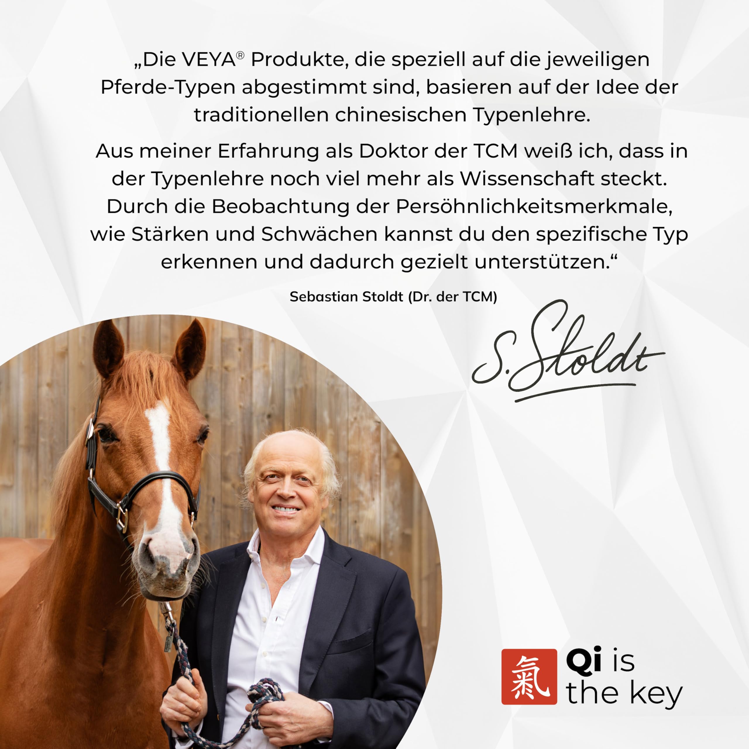 VEYA® by STRÖH Feuer-TYP 2 Gefäße & Herz-Kreislaufsaft (1L) • Ergänzungsfuttermittel für Pferde mit Weißdorn, Ginkgo & Herzgespann • Natürliche Unterstützung des Kreislaufsystems
