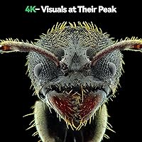 Vista 3 de Microscopio digital de enfoque automático 4K, microscopio de soldadura HDMI de 10 pulgadas con estación de manos de ayuda y brazo flexible