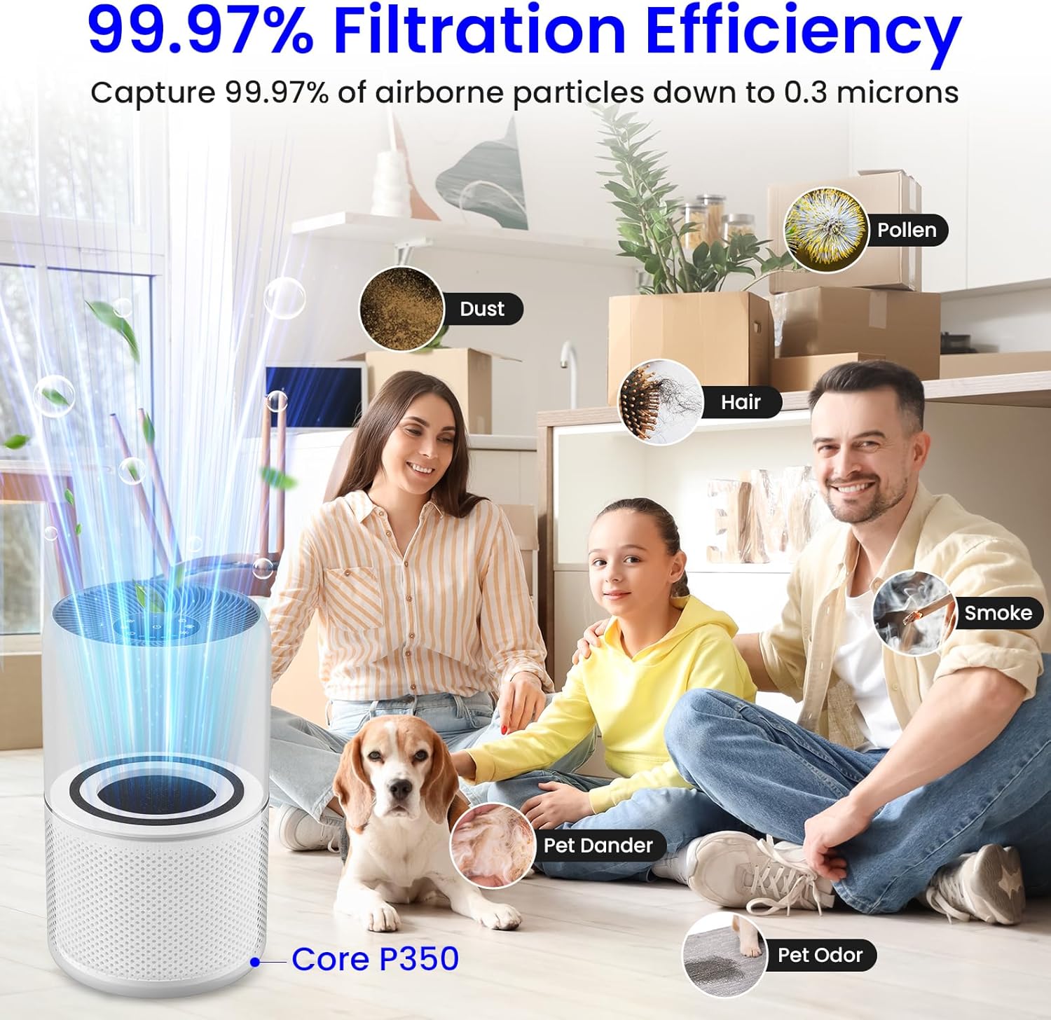 Future Way Core P350 Pet Care Replacement Filter Compatible With LEVOIT Air Purifier, H13 True HEPA, High-Efficiency Activated Carbon, Replace P350-RF, 2-Pack