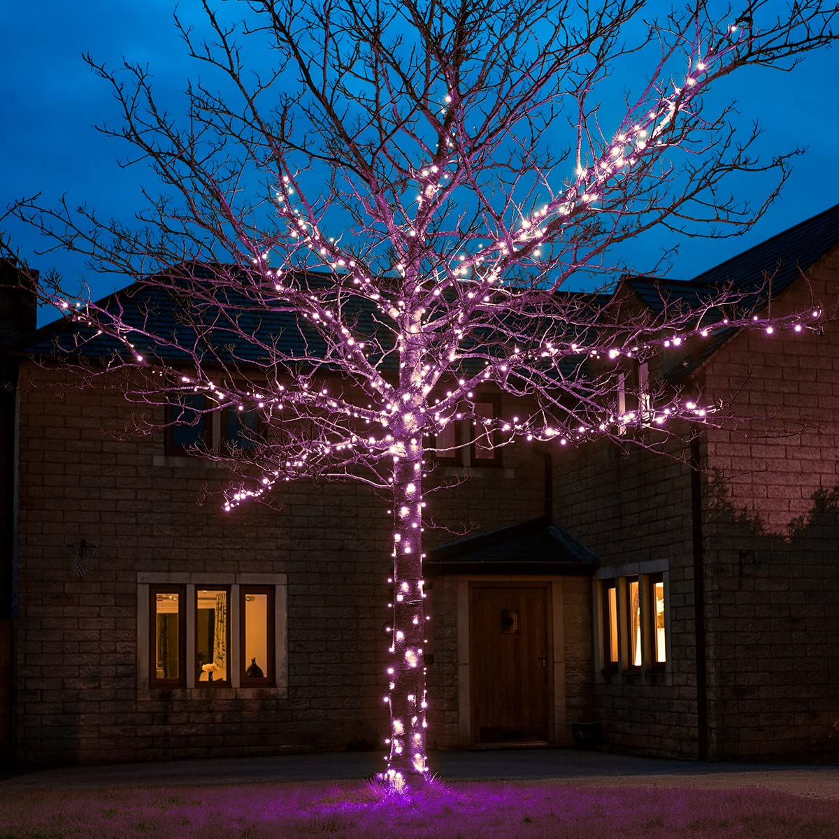Festive Lights Purple - Connectgo Connectable Outdoor Fairy Lights - Mains Powered Led String Lighting - Christmas, Garden, Wedding & Party (, 100M)