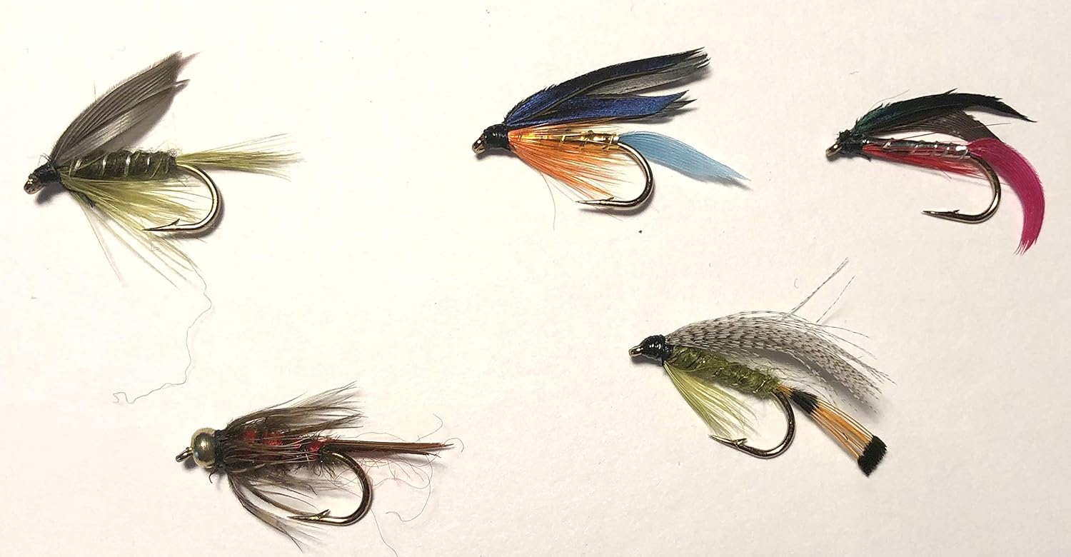 Flies Direct Trout Fishing Fly Assortment (2-Dozen) : Dry Fishing Flies : Sports & Outdoors