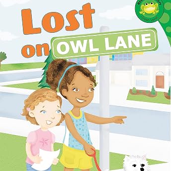 Lost on Owl Lane Audiobook by Susan Blackaby episode artwork
