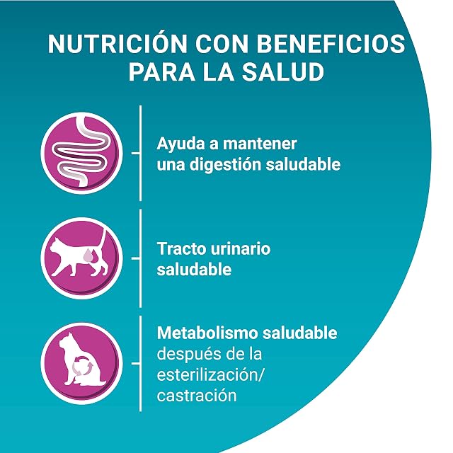 Foto 3 de 5 de Purina ONE pienso gato Esterilizado Adulto digestión Sensible 6x1,5 kg