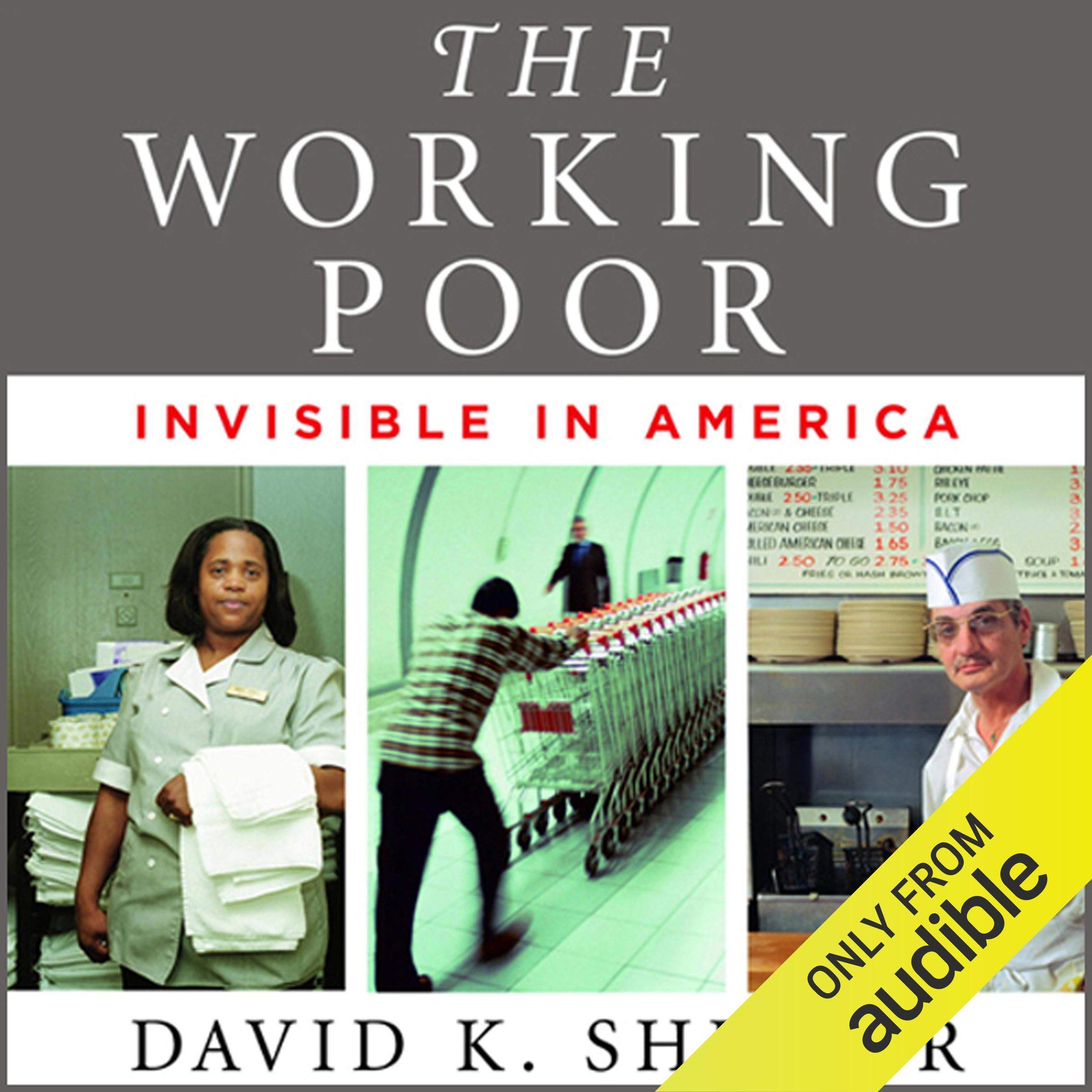 Cover art for The Working Poor
