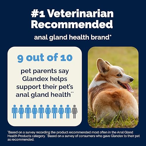 Miniatura 9 de Vetnique Glandex Probióticos Diarios para Perros con Prebióticos para Apoyar la Salud Intestinal con Fibra y Enzimas Digestivas, Masticables o