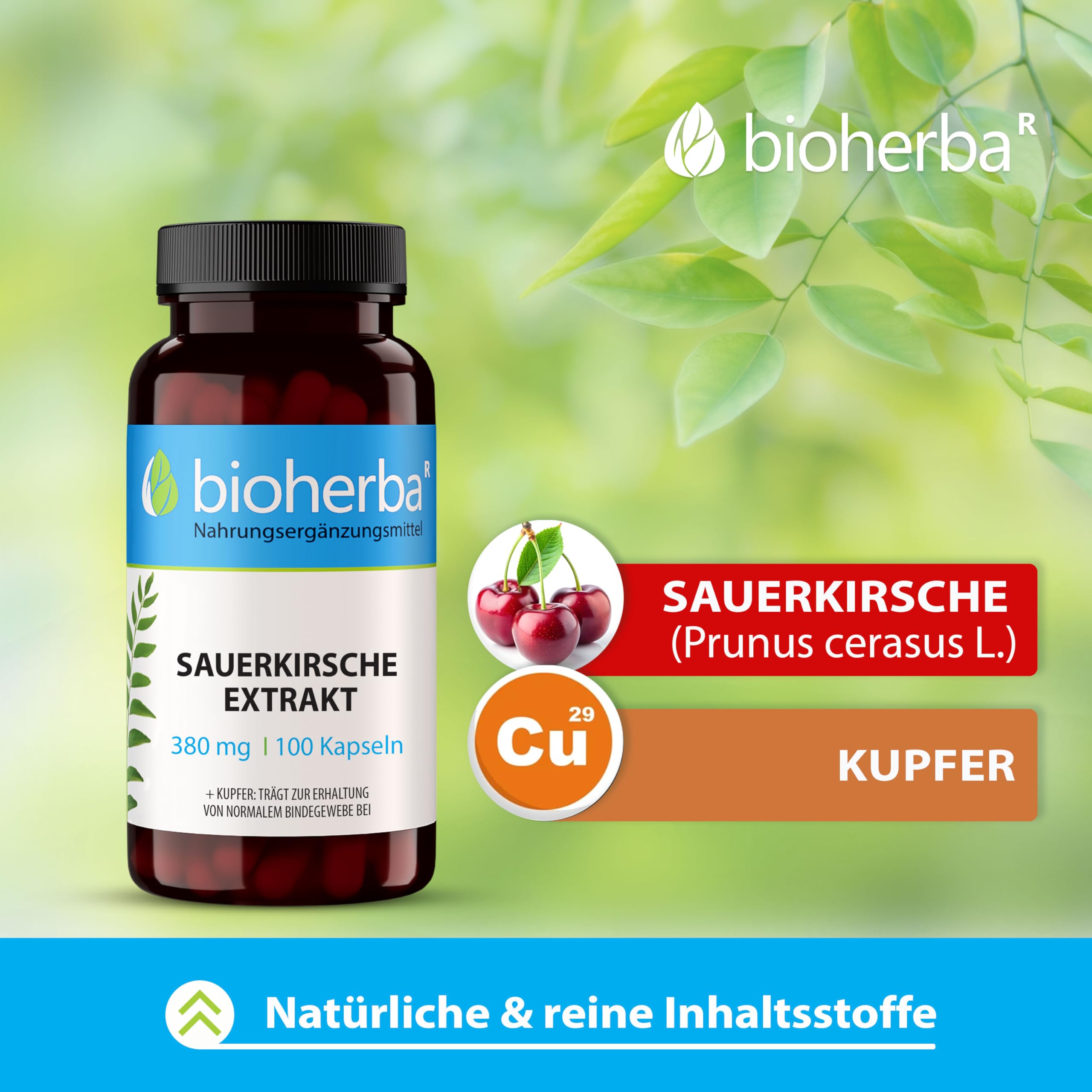 BIOHERBA Montmorency-Sauerkirschkapseln, 300 Stück | 380 mg natürlicher Sauerkirschextrakt, Mit Kupfer, PZN 18215936