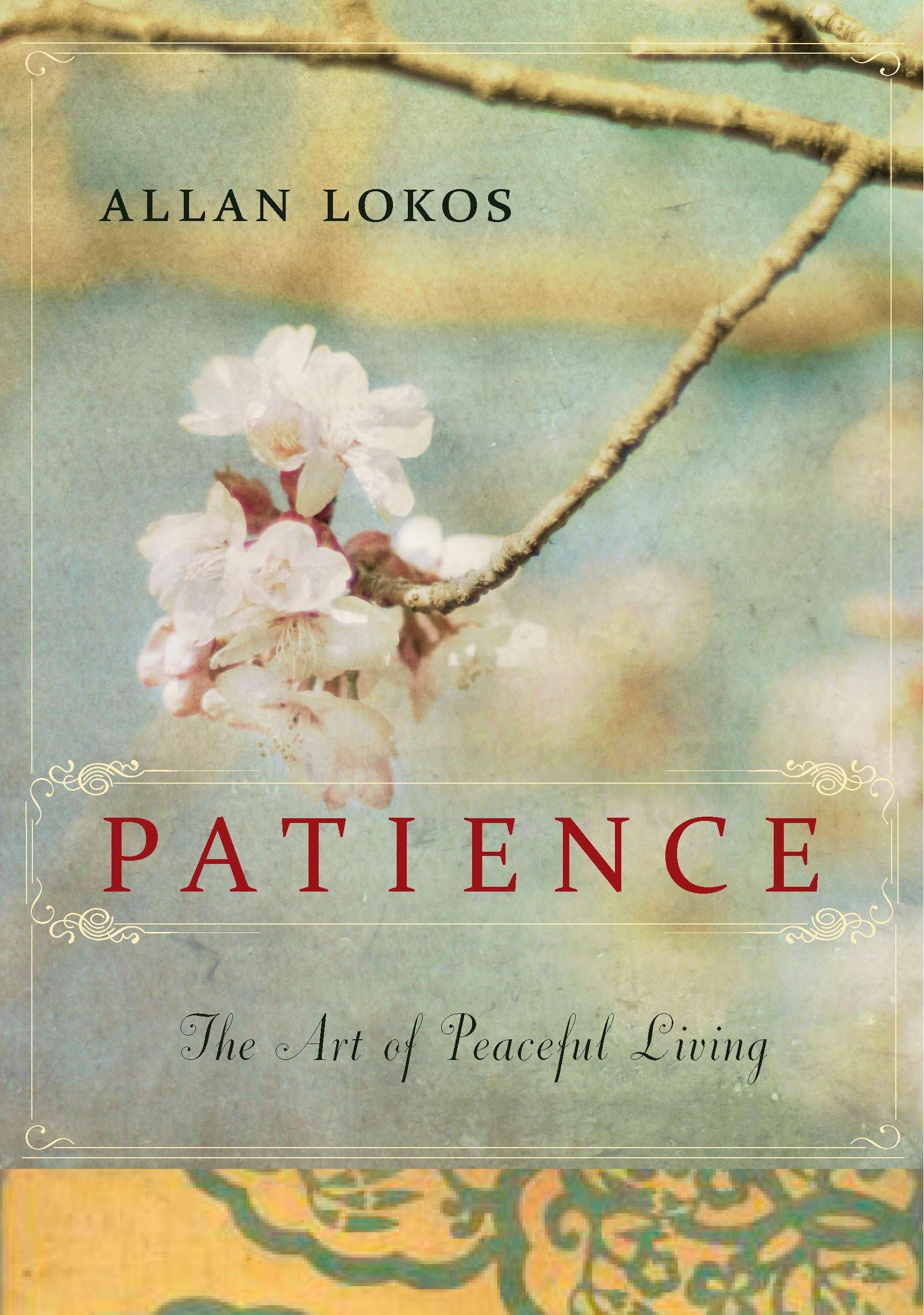 Patience by Allan Lokos - 9781585429004