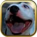 Pitbulls Dogs Jigsaw Puzzle Games