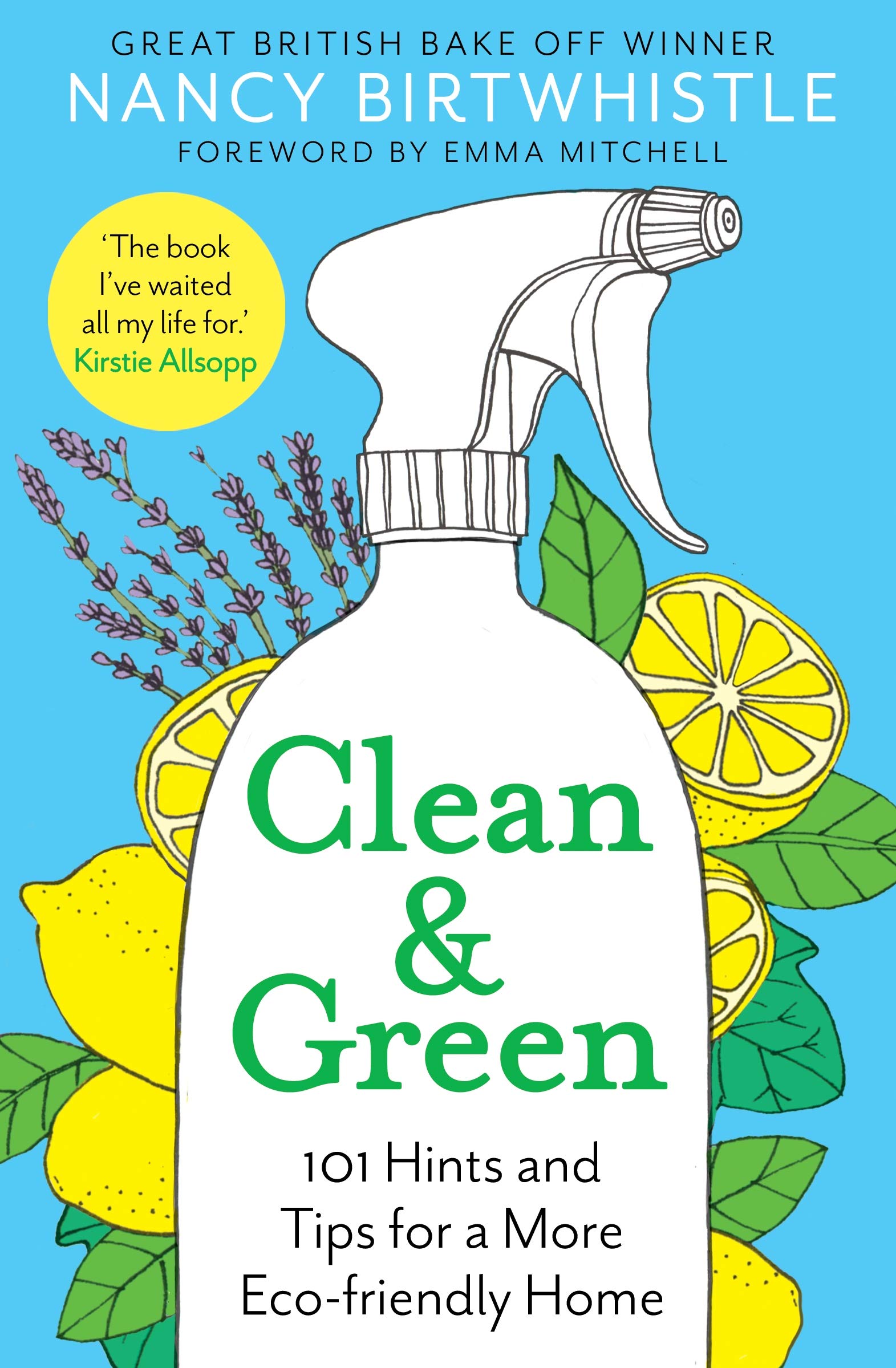 Clean & Green: 101 Hints and Tips for a More Eco-Friendly Home (Aziza's Secret Fairy Door, 105)