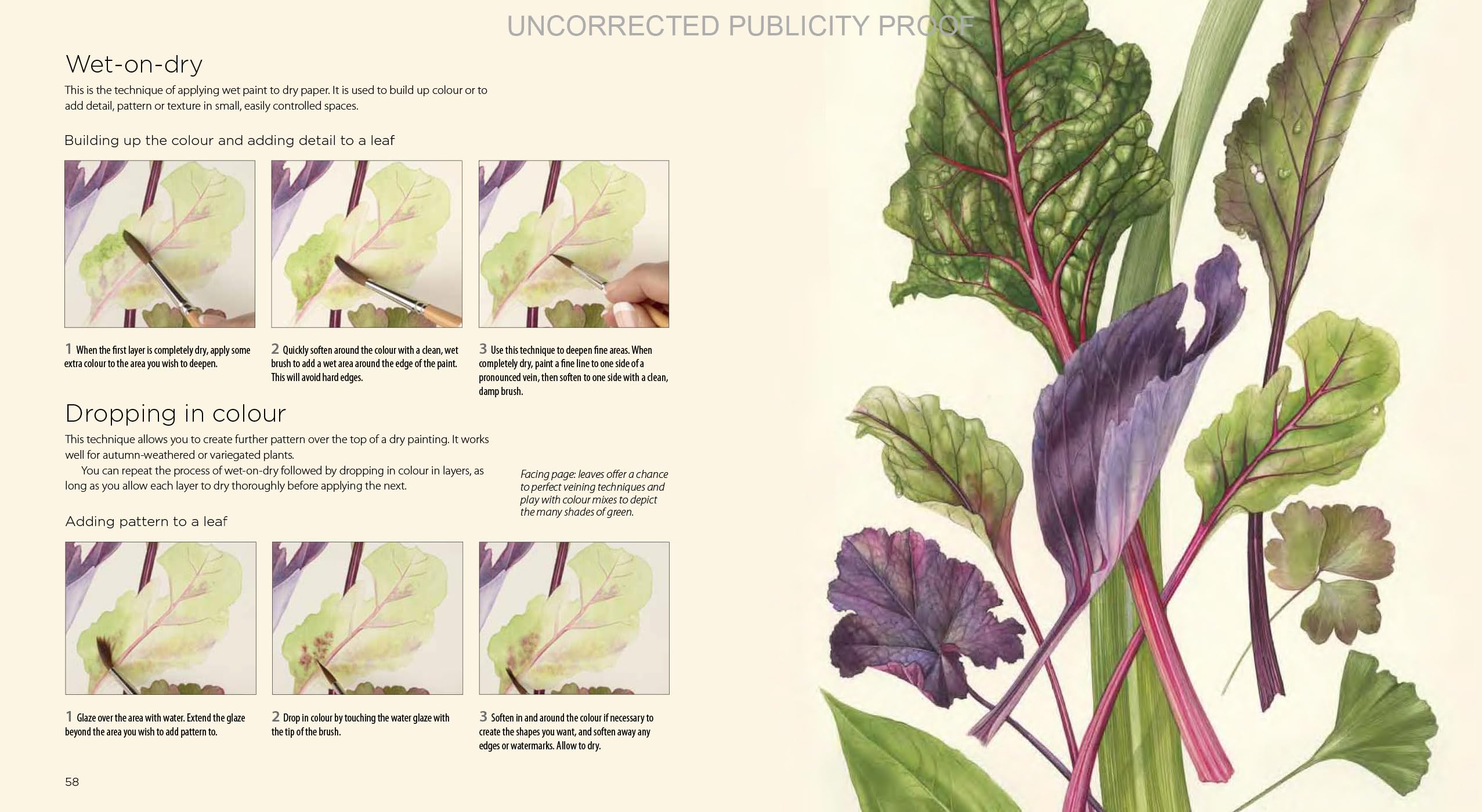 Billy Showell Botanical Painting Watercolour