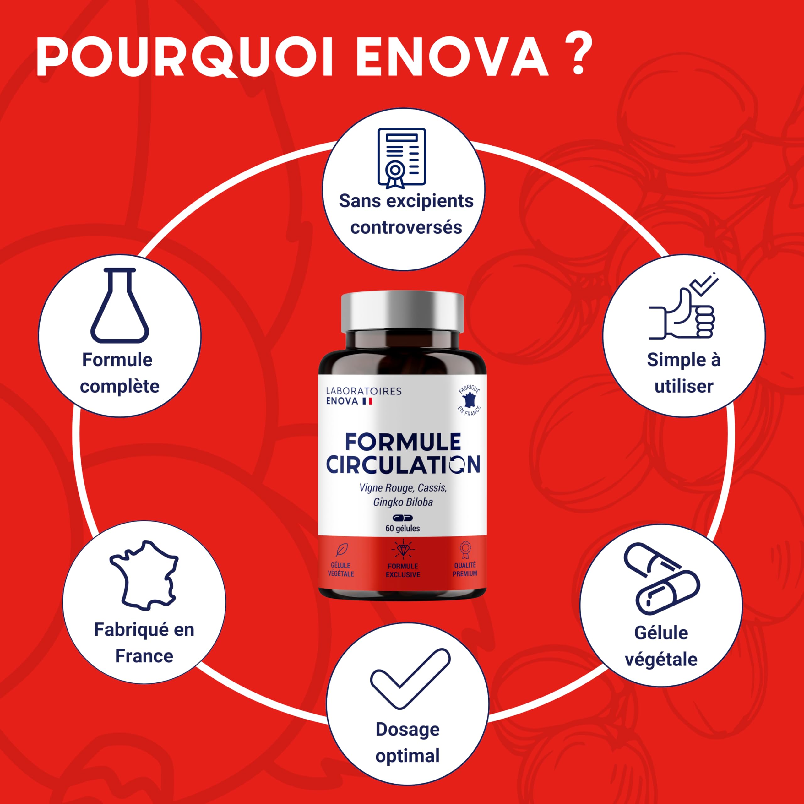 FORMULE CIRCULATION Sanguine, veineuse | Jambes lourdes, Rétention d'eau | Vigne Rouge (hautement dosé), Cassis, Gingko Biloba | 60 gélules | Complement alimentaire