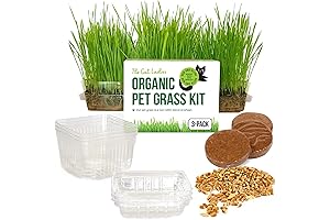 Cat Ladies Cat Grass for Indoor Cats Growing Kit