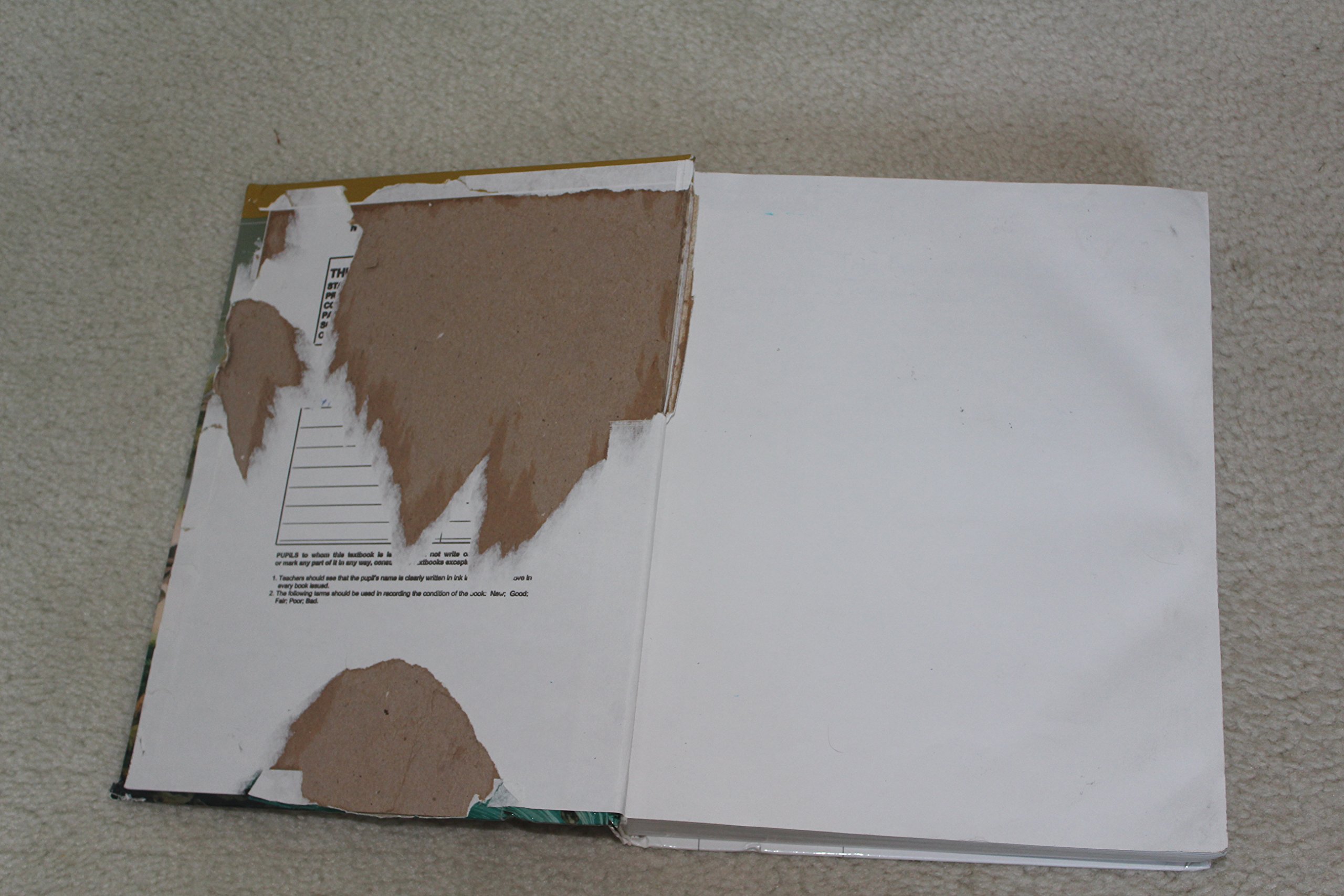 Earth & Its Peoples, AP Edition - Image 6