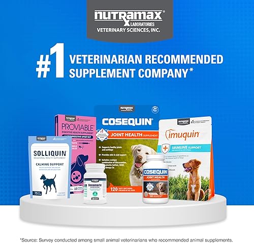 Miniatura 9 de Nutramax Cosequin - Suplemento para la salud de las articulaciones para perros, contiene glucosamina, más condroitina, MSM y omega-3, apoya la salud