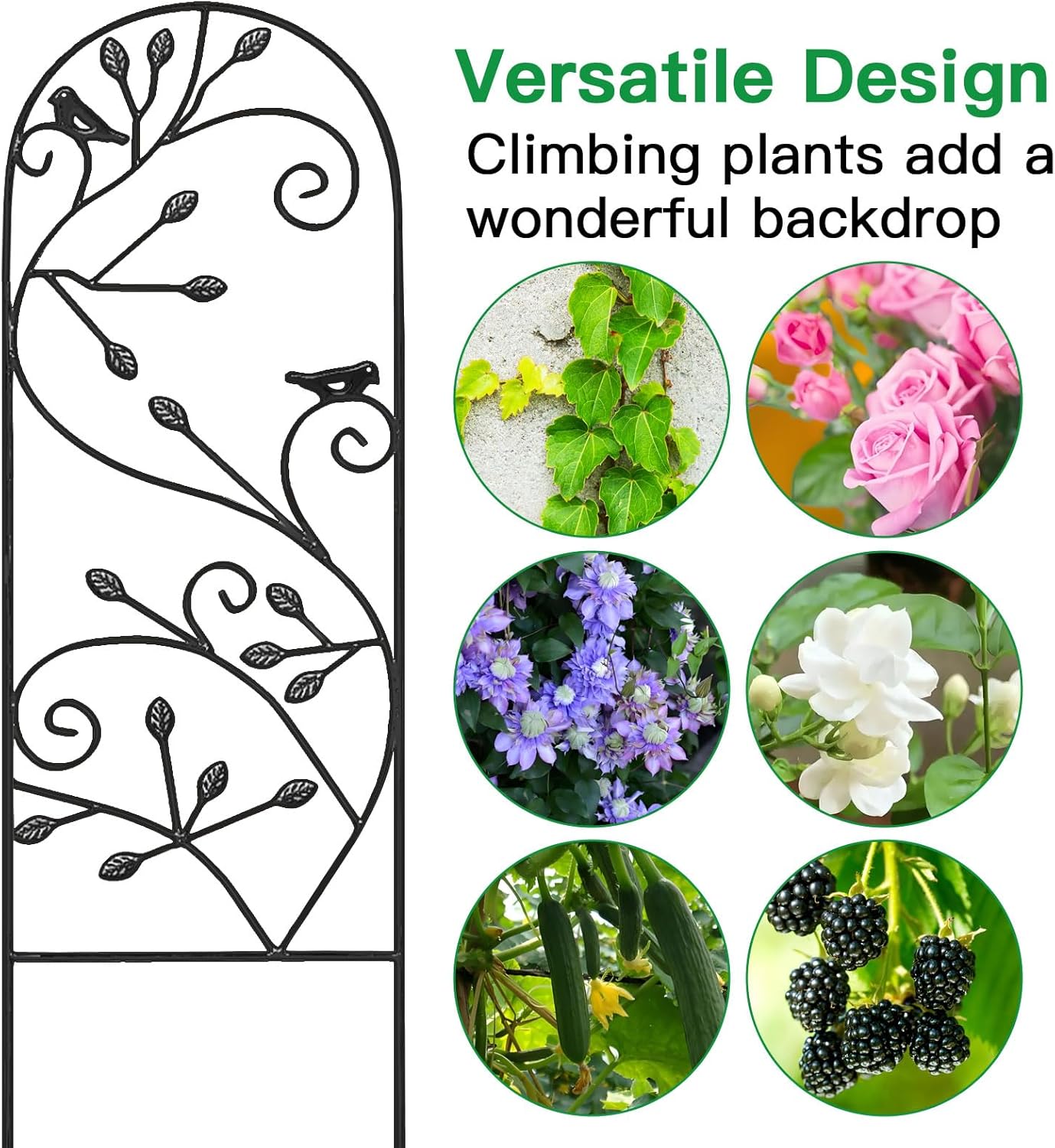 Amagabeli 4 Pack 47x16in Rustic Iron Arch Decoration Garden Trellis with Black Metal Coating for Supporting Climbing Plants Outdoor, Roses, Vines, Flowers, Vegetables, Cucumbers, Clematis