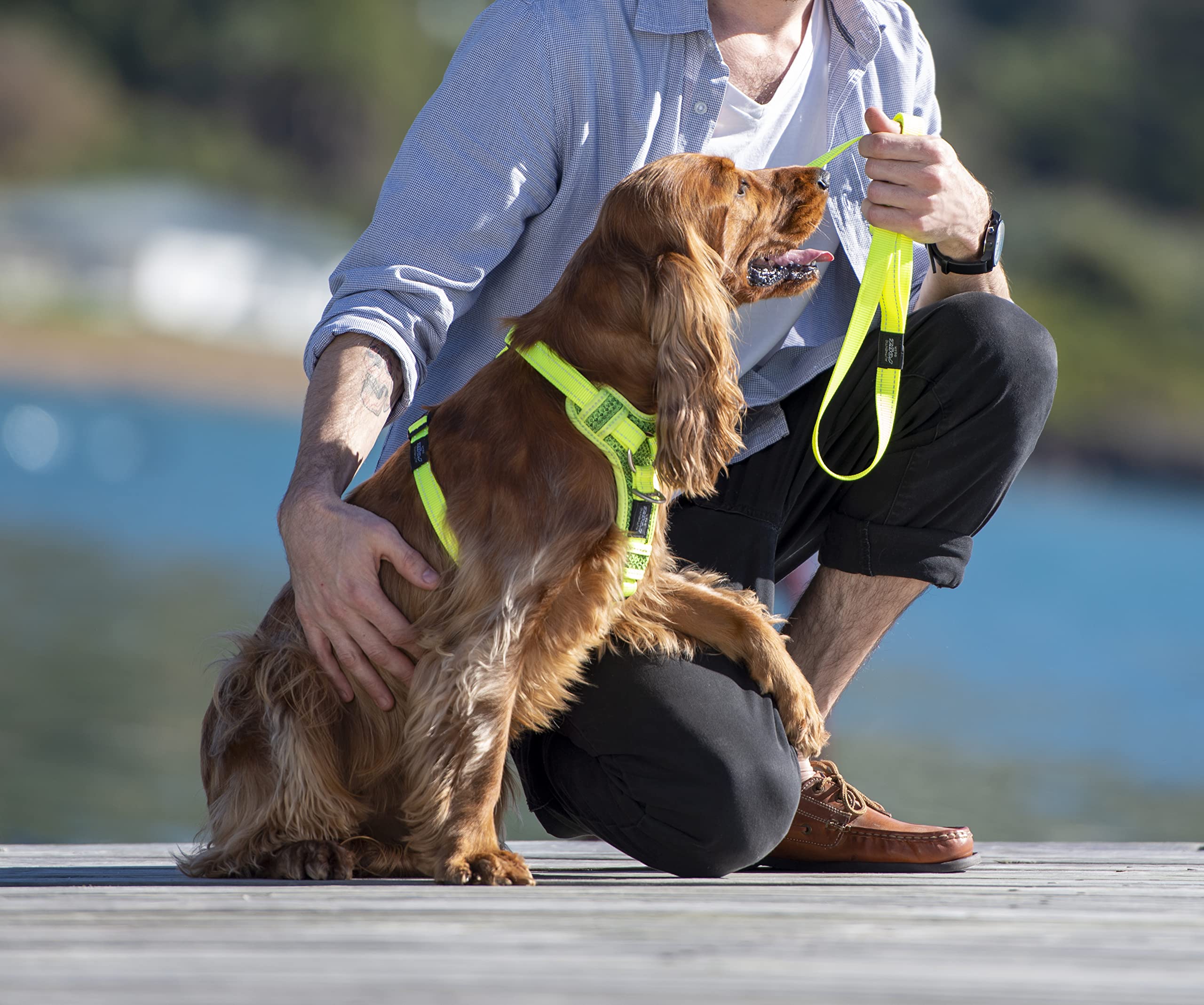 Control Harness Large - Pink