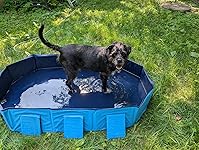 Review Image by patricia pete patricia pete