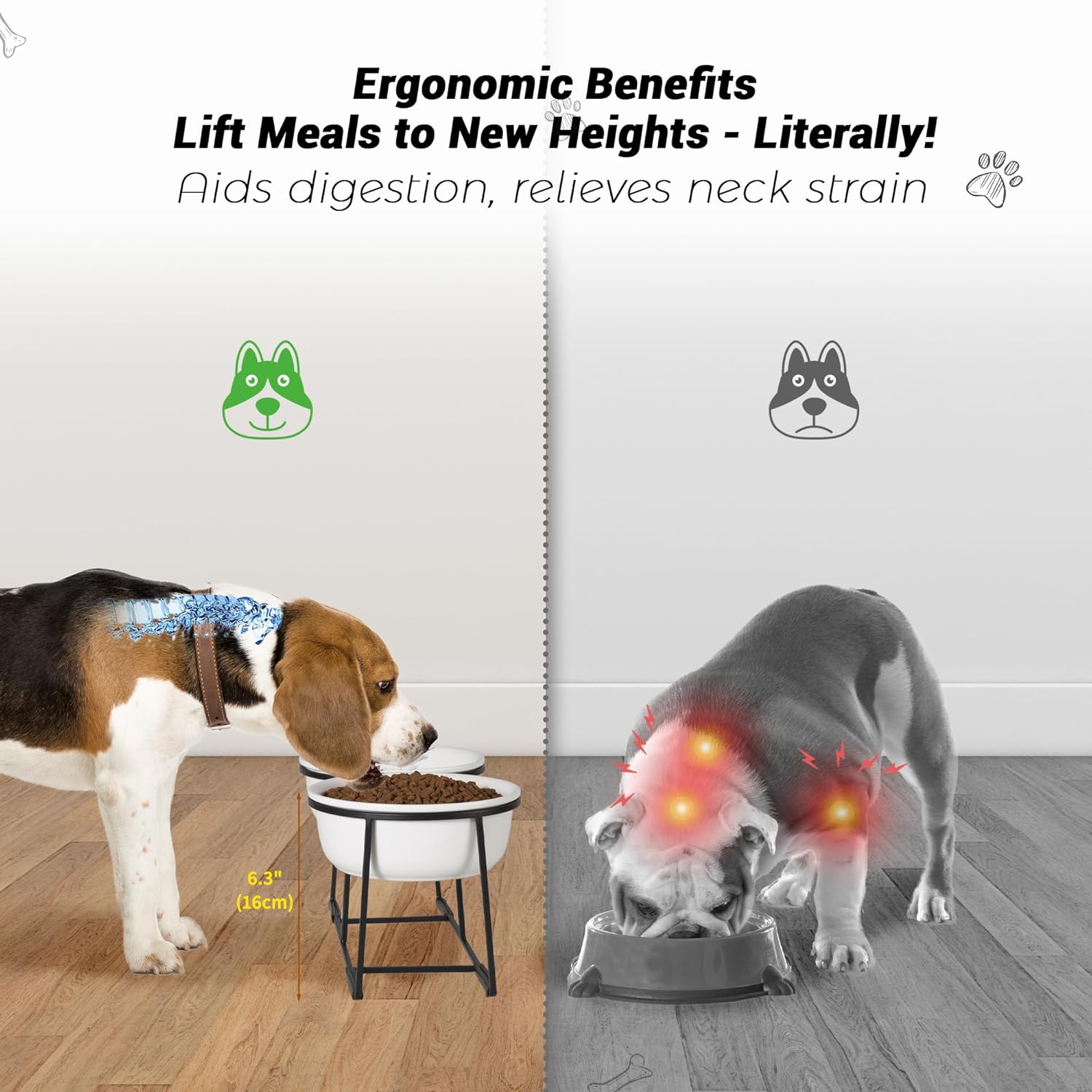 Ceramic Elevated Dog Bowl Set - Raised Food and Water Bowls with Metal Stand - Double Pet Dishes for Small and Medium Dogs - 2 Cups - 27 fl oz - Matte Whit