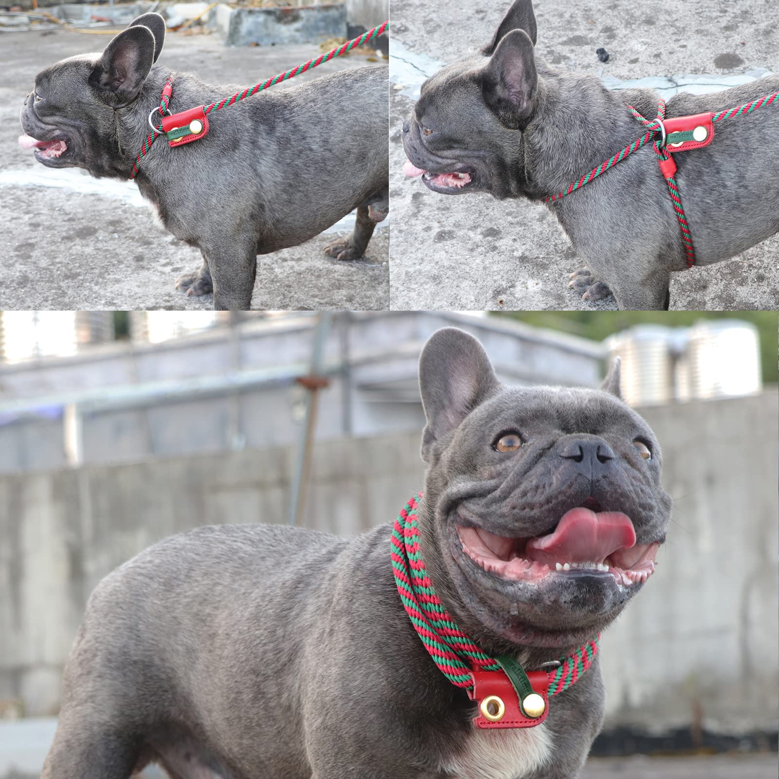 Walktime,Slip Lead Dog Leash,Dogs Harness and Leash Set for Walking - Head Collar with Rope Leashes for Pulling - DIY Dog Scarf