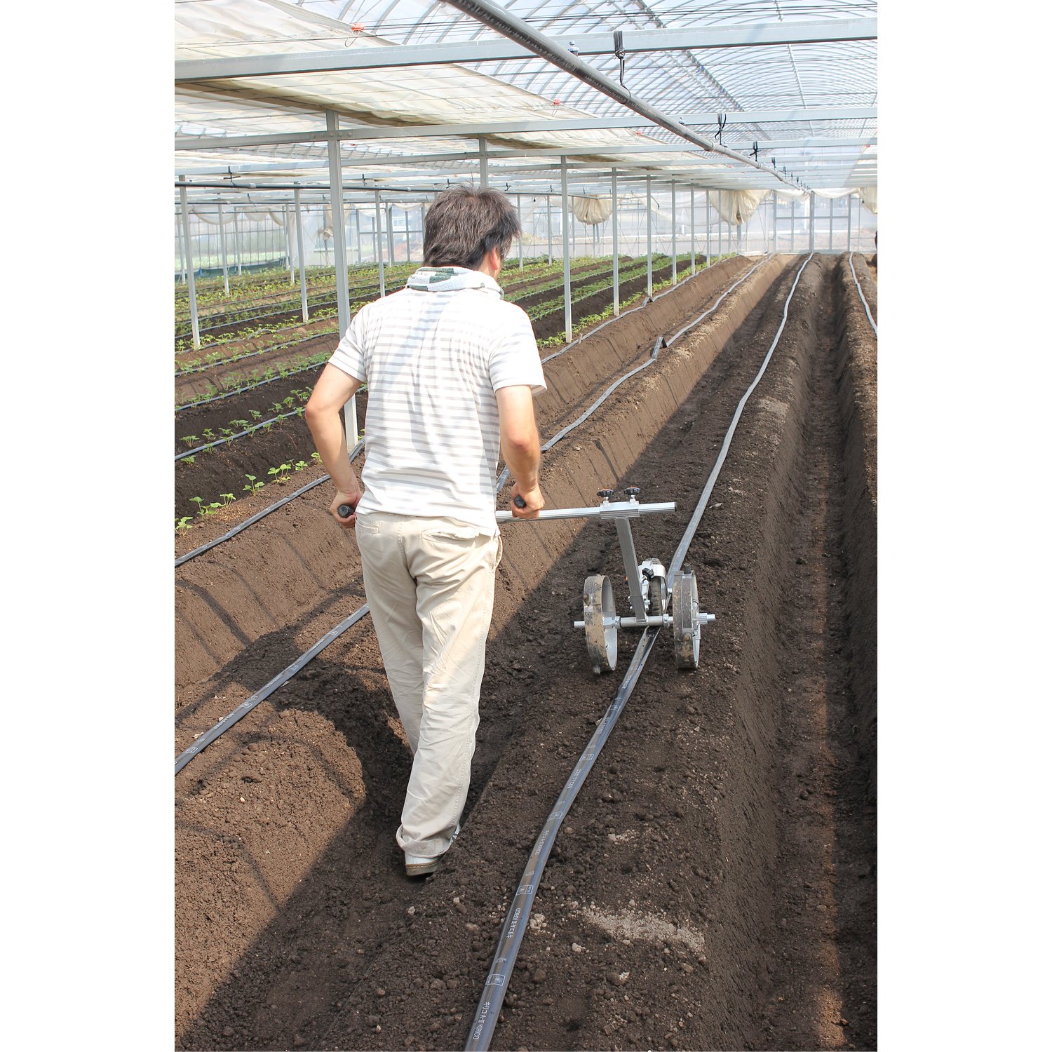 Amazon | ハラックス マークン 苺苗用植付け位置マーク器 RM-2428 | 穴掘り