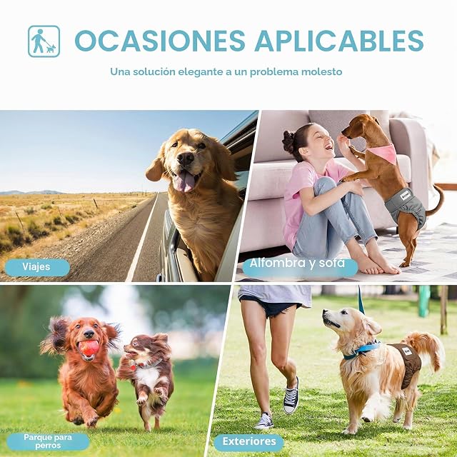 Foto 5 de 8 de Avont 3 Packs - Pañales Lavables para Perras, Reutizables y Duraderos para Perros Hembra, Female Dog Diapers…