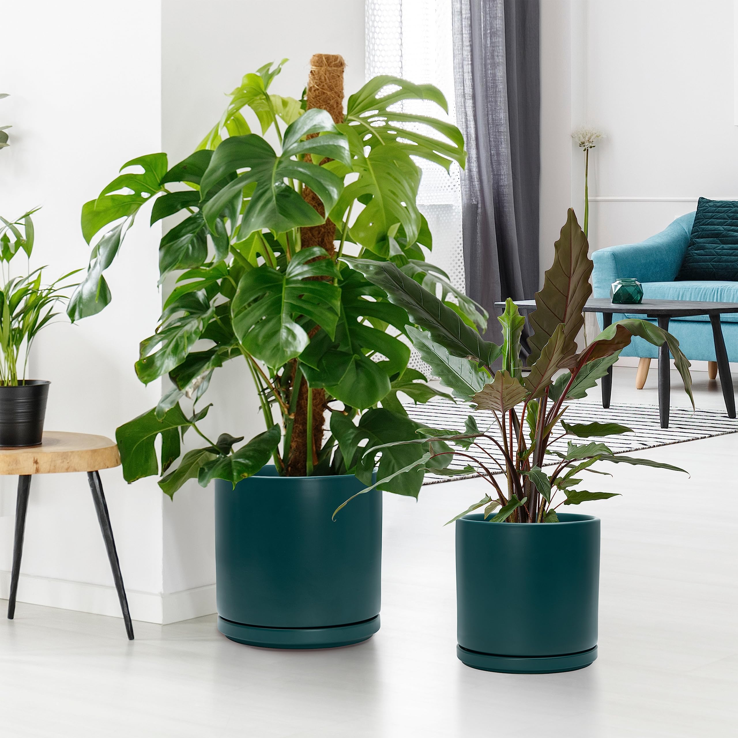Amazon.co.jp: 大型植木鉢セット 8インチ&10インチ セラミック