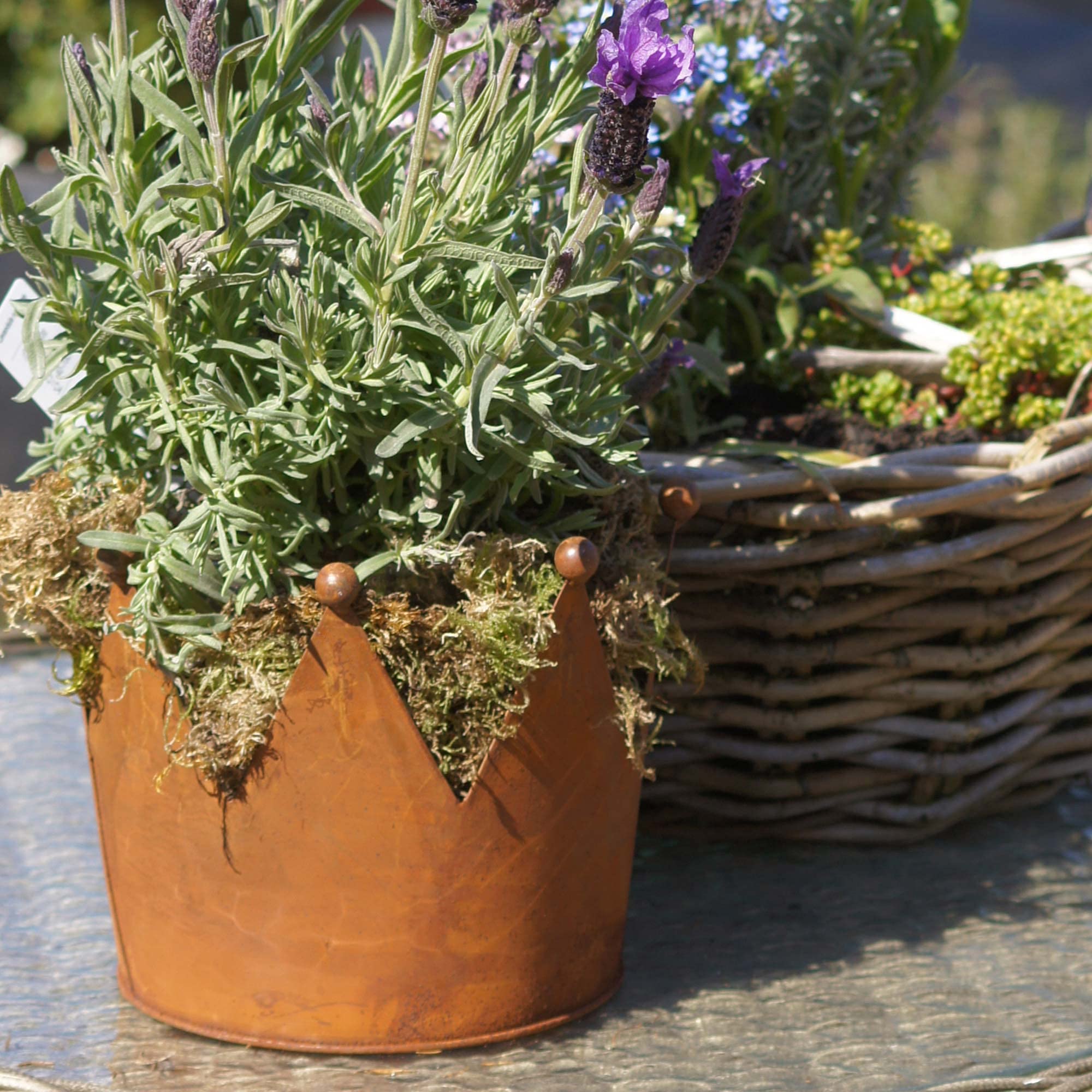 UNUS Krone Rost, Gartendeko Rostoptik, Edelrostrost Deko für Garten, Terrasse Balkon Blumentopf (groß)