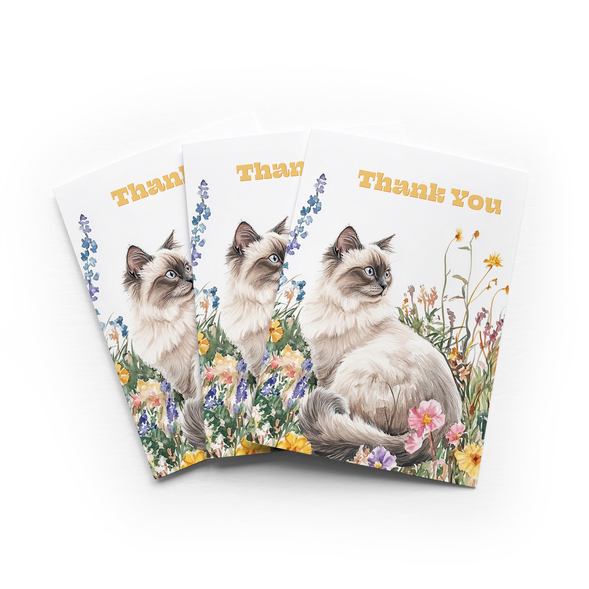 Ragdoll Cat Thank You Card Wildflower Watercolour Set of 3 Greeting Cards Blank Inside 5x7 Inch 13x18 cm