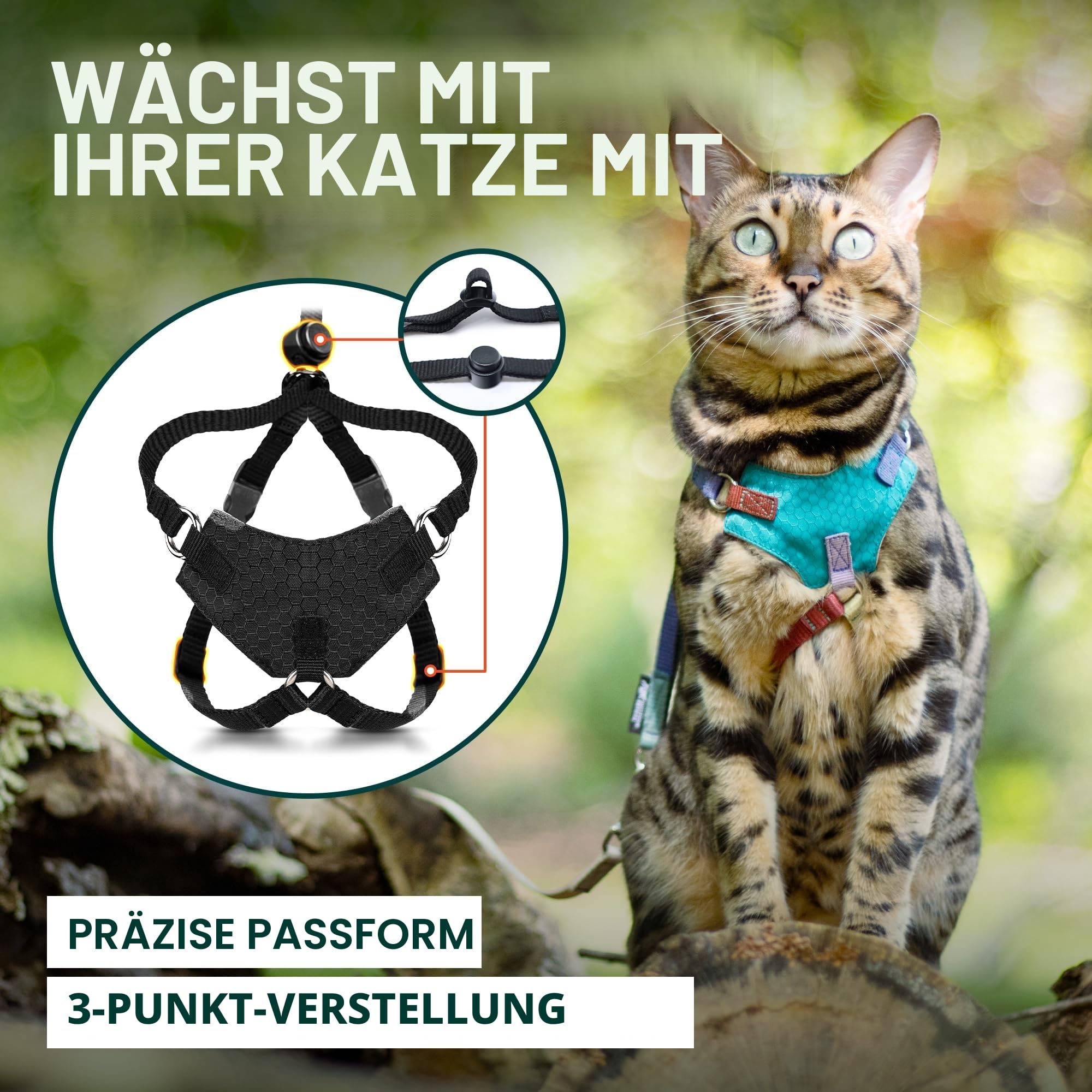 Houdini™ Ausbruchsicheres Katzengeschirr und Leine, Set von OutdoorBengal for Walking Cats (M)